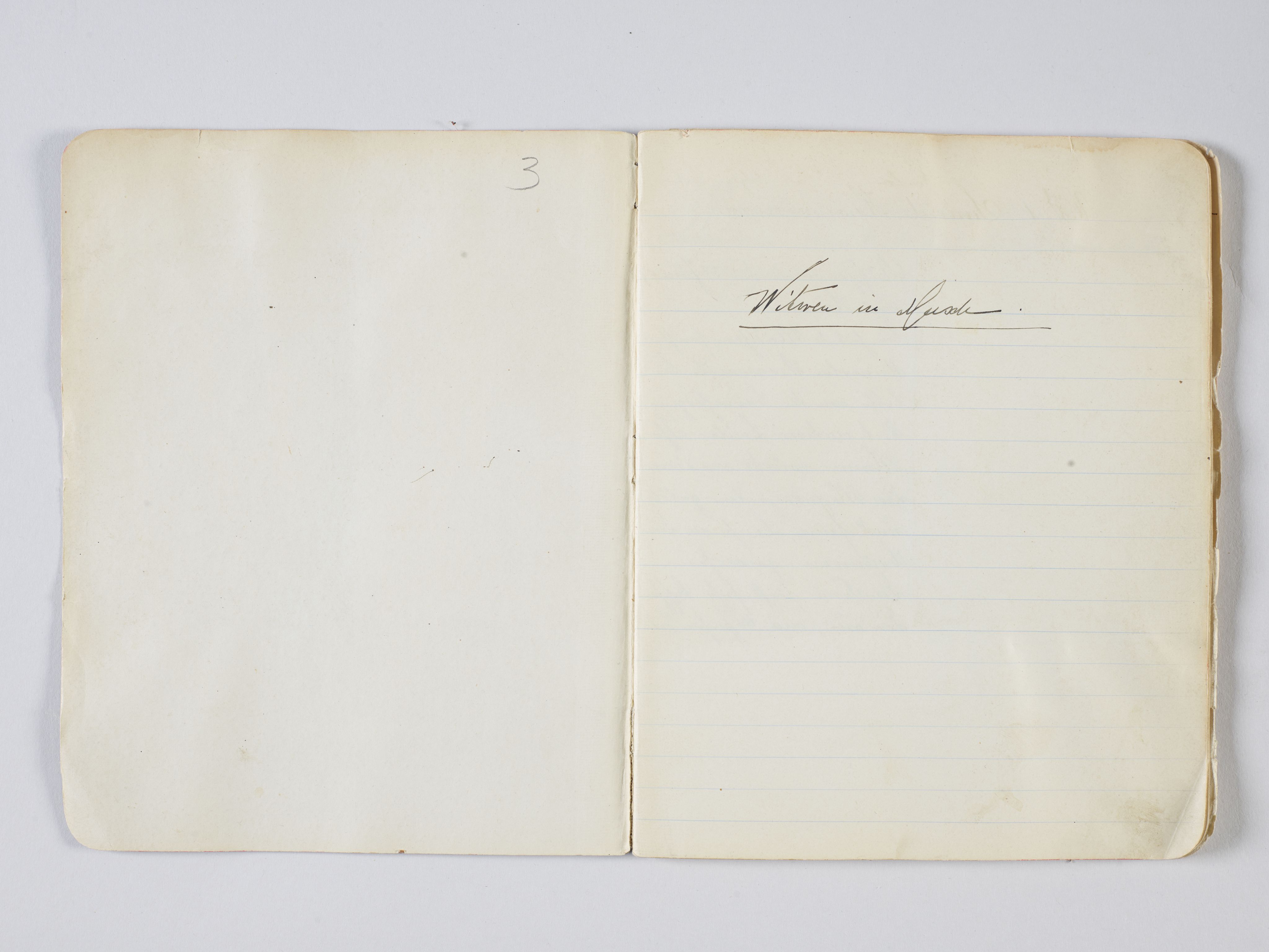 Kvinnelige Misjonsarbeidere, AV/RA-PA-0699/U/L0033/0003: Fotoalbum / "Witwen in Musch" (Enker i Musch), 1905-1917