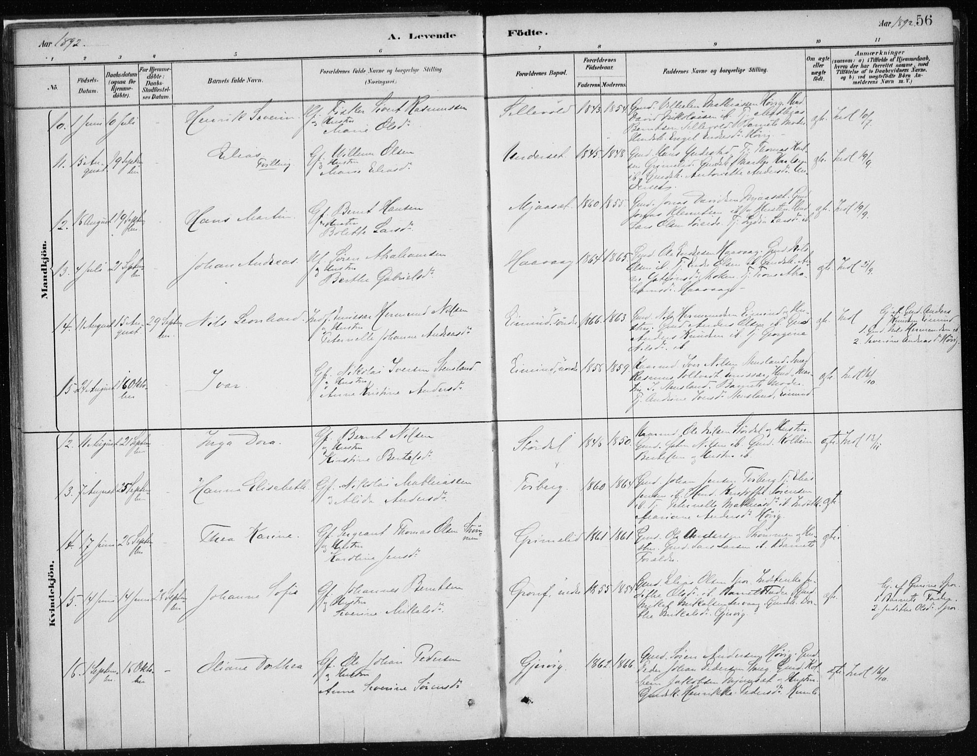 Askvoll sokneprestembete, AV/SAB-A-79501/H/Haa/Haab/L0002: Parish register (official) no. B 2, 1879-1909, p. 56