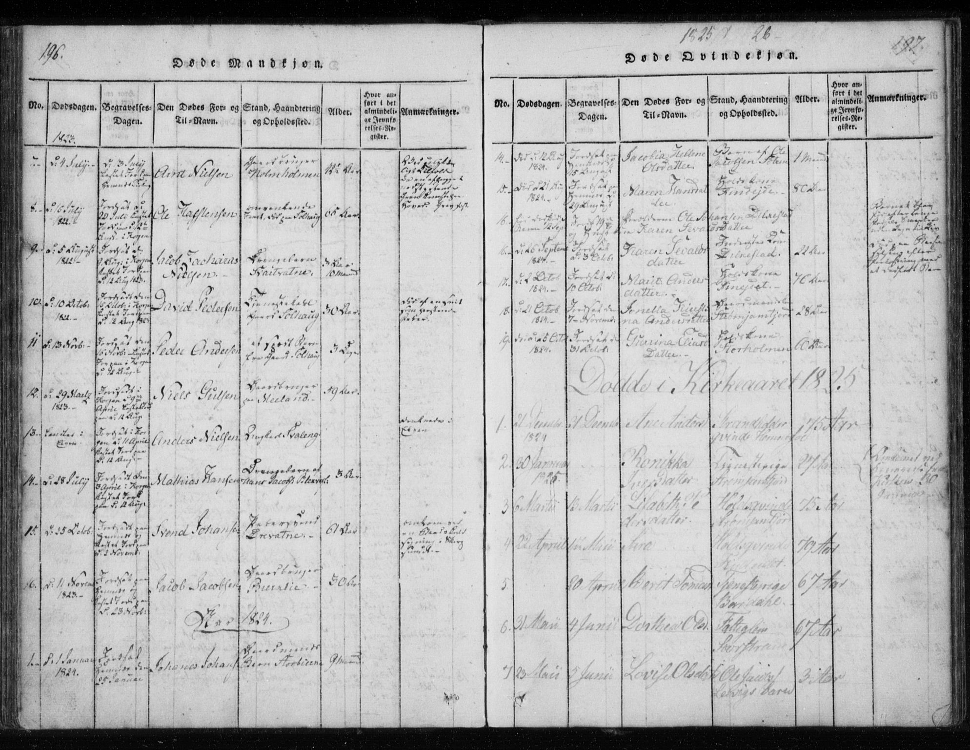 Ministerialprotokoller, klokkerbøker og fødselsregistre - Nordland, AV/SAT-A-1459/825/L0353: Parish register (official) no. 825A07, 1820-1826, p. 196-197