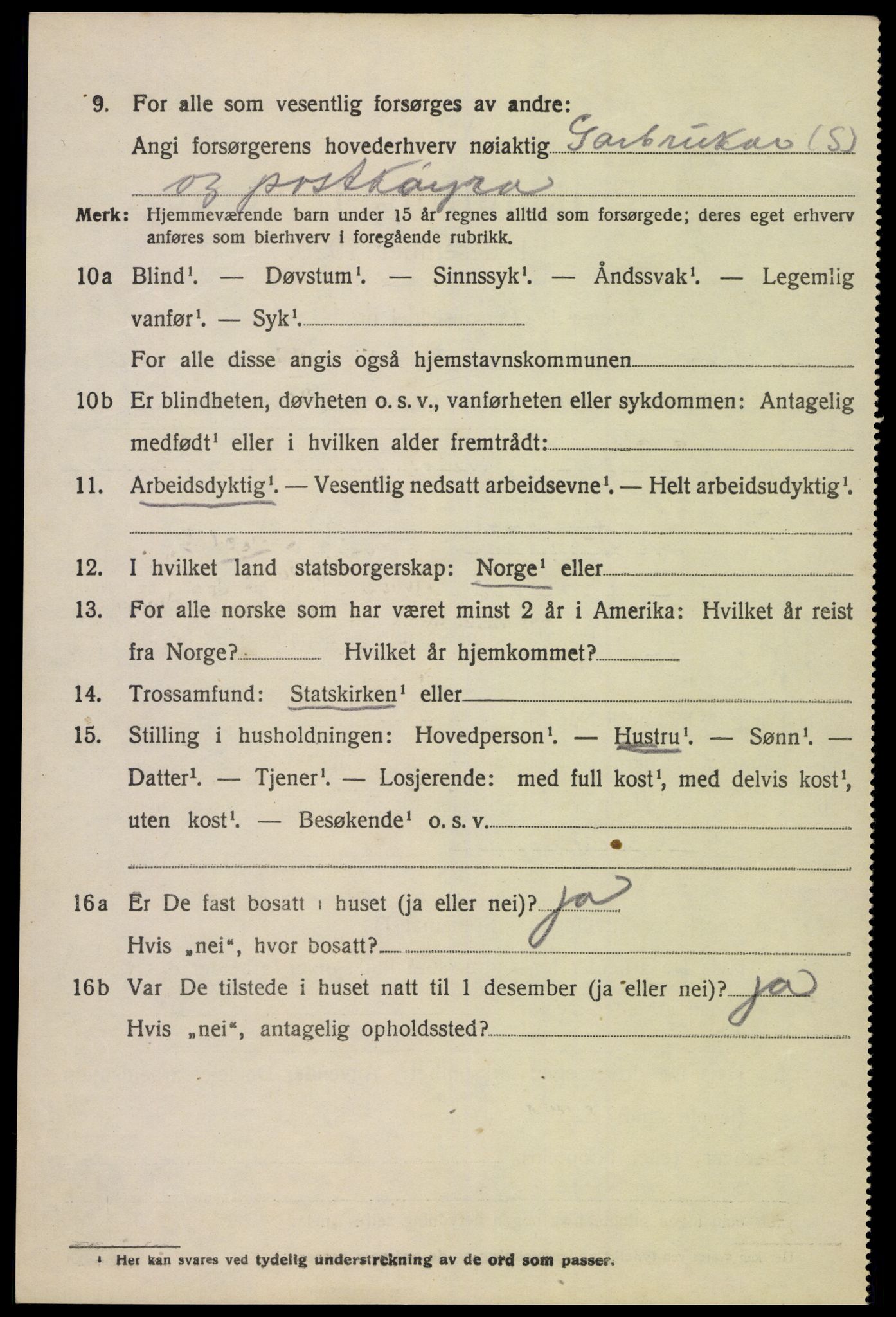 SAK, 1920 census for Hornnes, 1920, p. 3068
