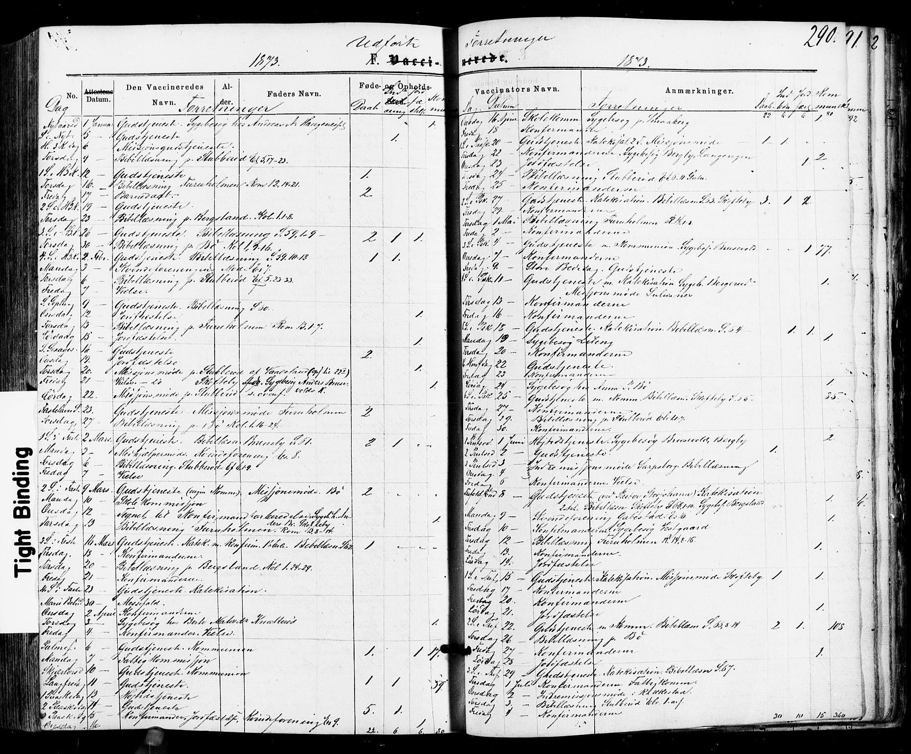 Varteig prestekontor Kirkebøker, SAO/A-10447a/F/Fa/L0001: Parish register (official) no. 1, 1861-1877, p. 290