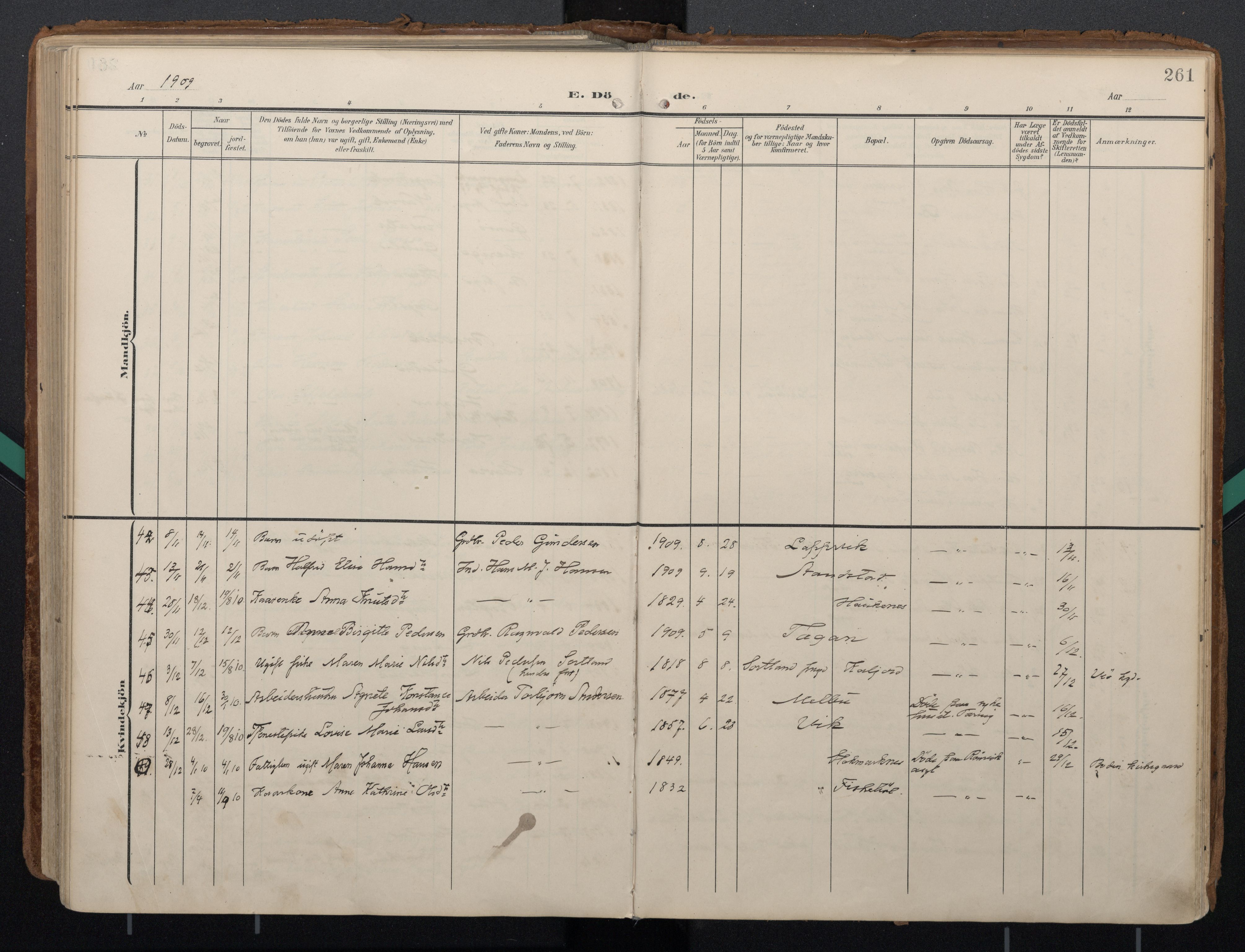 Ministerialprotokoller, klokkerbøker og fødselsregistre - Nordland, AV/SAT-A-1459/888/L1248: Parish register (official) no. 888A14, 1904-1913, p. 261