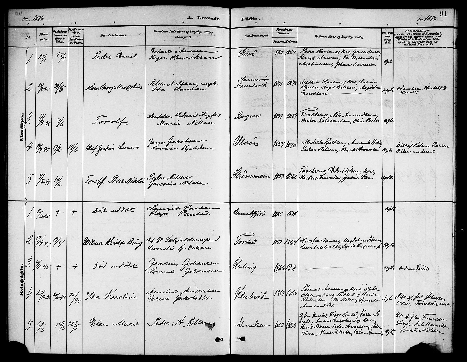 Ministerialprotokoller, klokkerbøker og fødselsregistre - Nordland, SAT/A-1459/861/L0876: Parish register (copy) no. 861C02, 1887-1903, p. 91