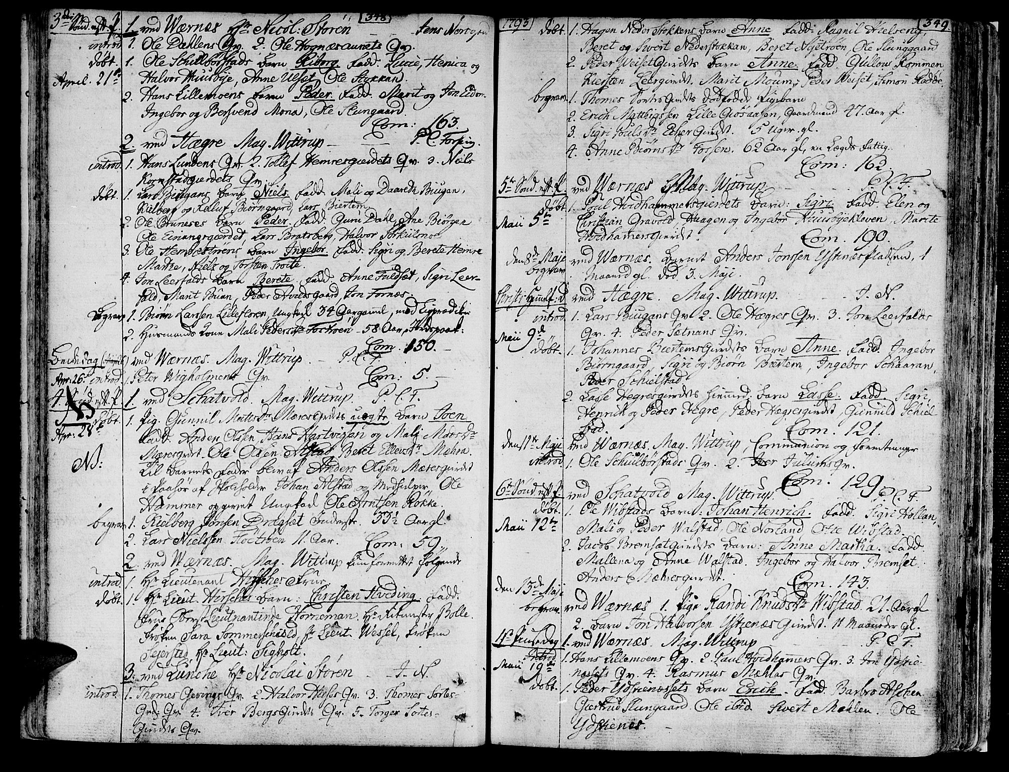 Ministerialprotokoller, klokkerbøker og fødselsregistre - Nord-Trøndelag, SAT/A-1458/709/L0059: Parish register (official) no. 709A06, 1781-1797, p. 348-349