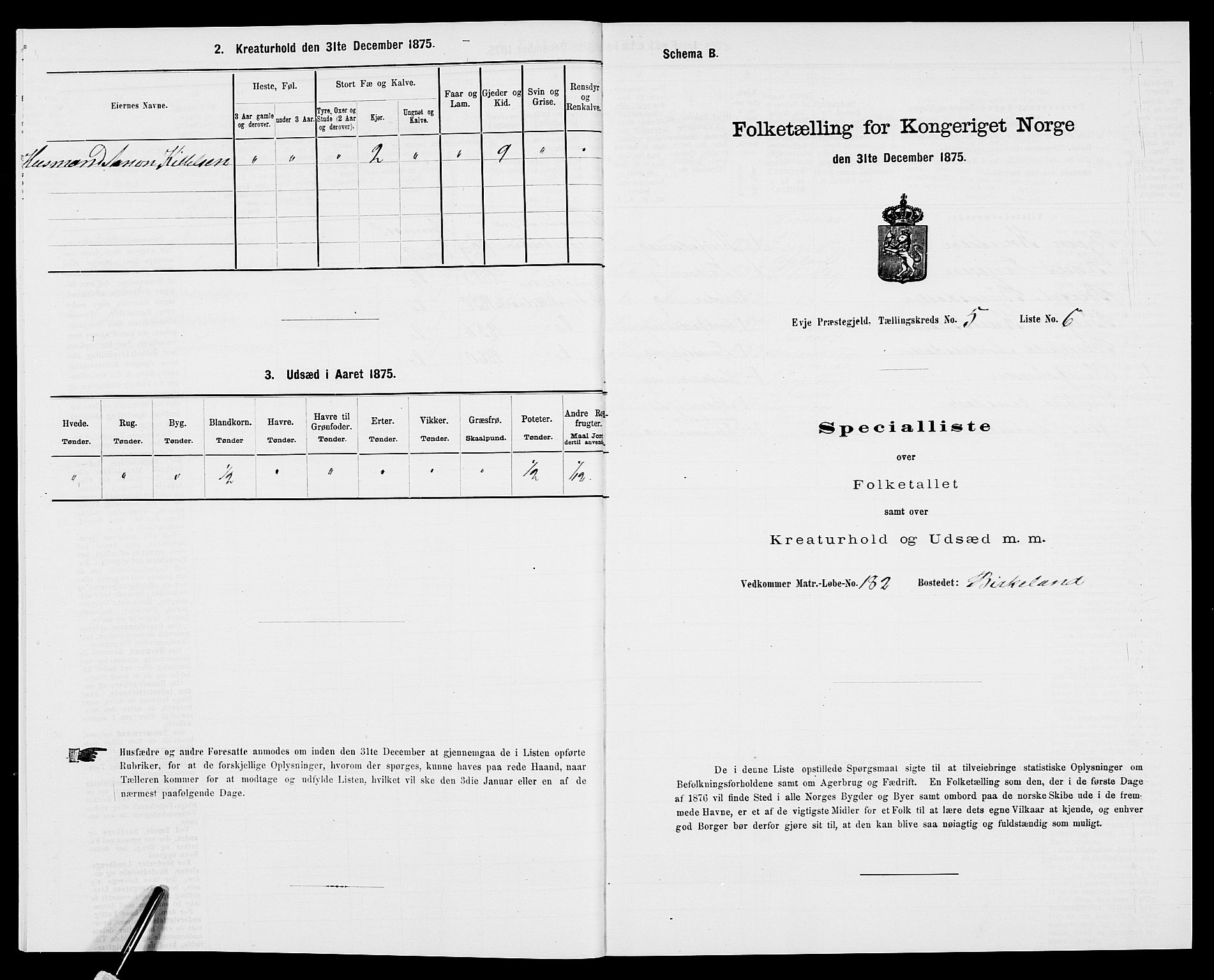 SAK, 1875 census for 0934P Evje, 1875, p. 408