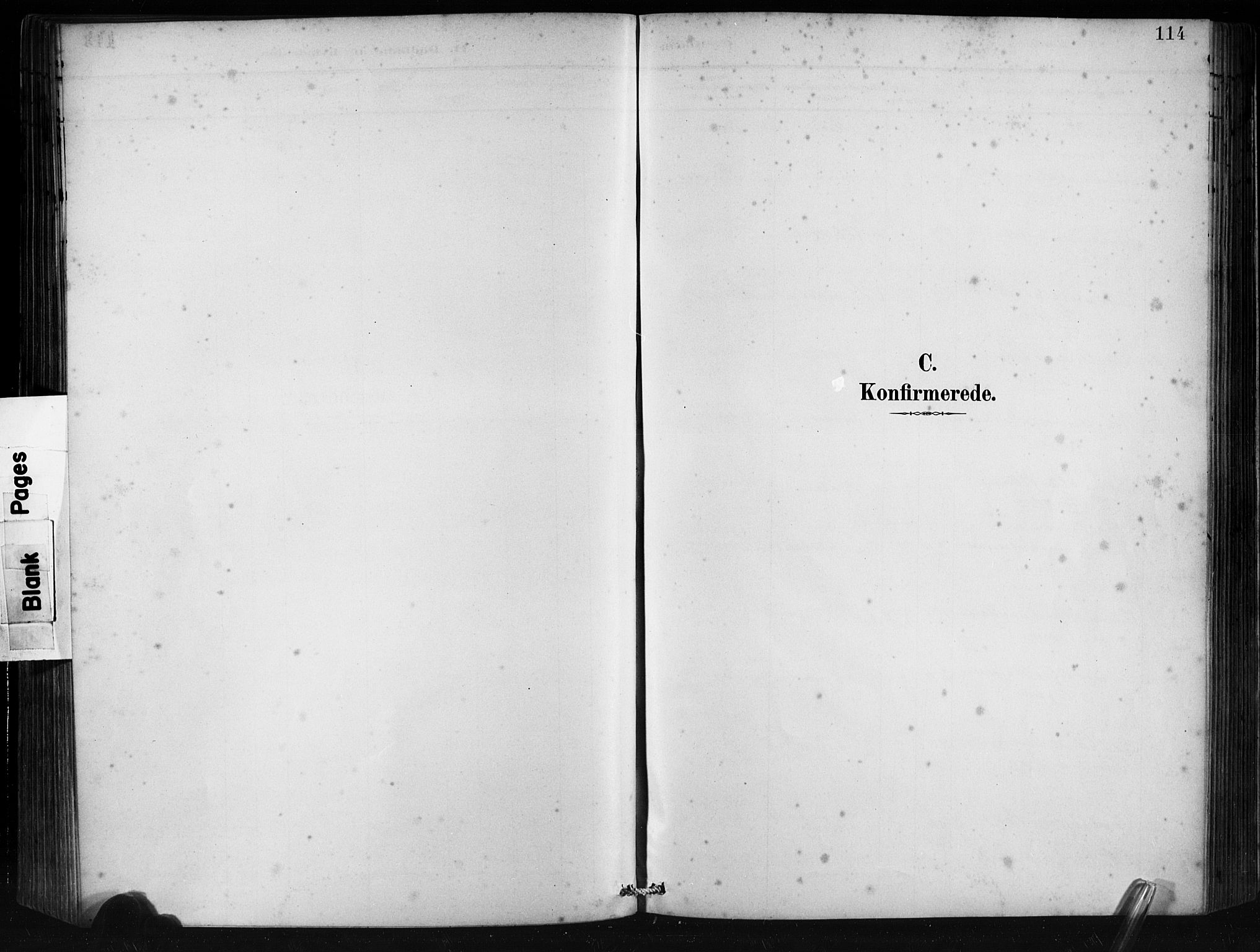 Ministerialprotokoller, klokkerbøker og fødselsregistre - Møre og Romsdal, SAT/A-1454/501/L0008: Parish register (official) no. 501A08, 1885-1901, p. 114