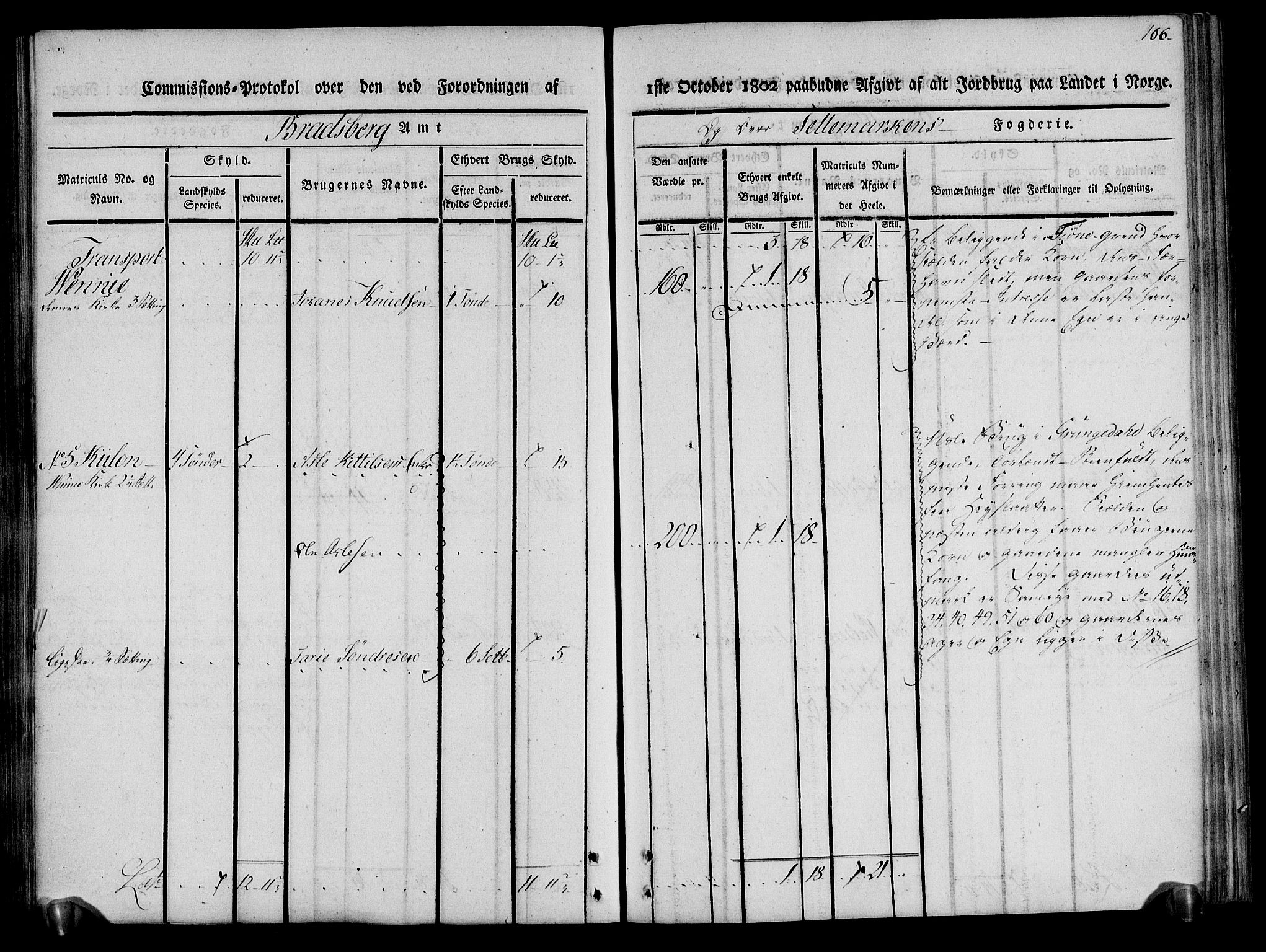 Rentekammeret inntil 1814, Realistisk ordnet avdeling, AV/RA-EA-4070/N/Ne/Nea/L0075: Øvre Telemarken fogderi. Kommisjonsprotokoll for fogderiets vestre del - Kviteseid, Vinje, Moland [):Fyresdal] og Lårdal prestegjeld., 1803, p. 106