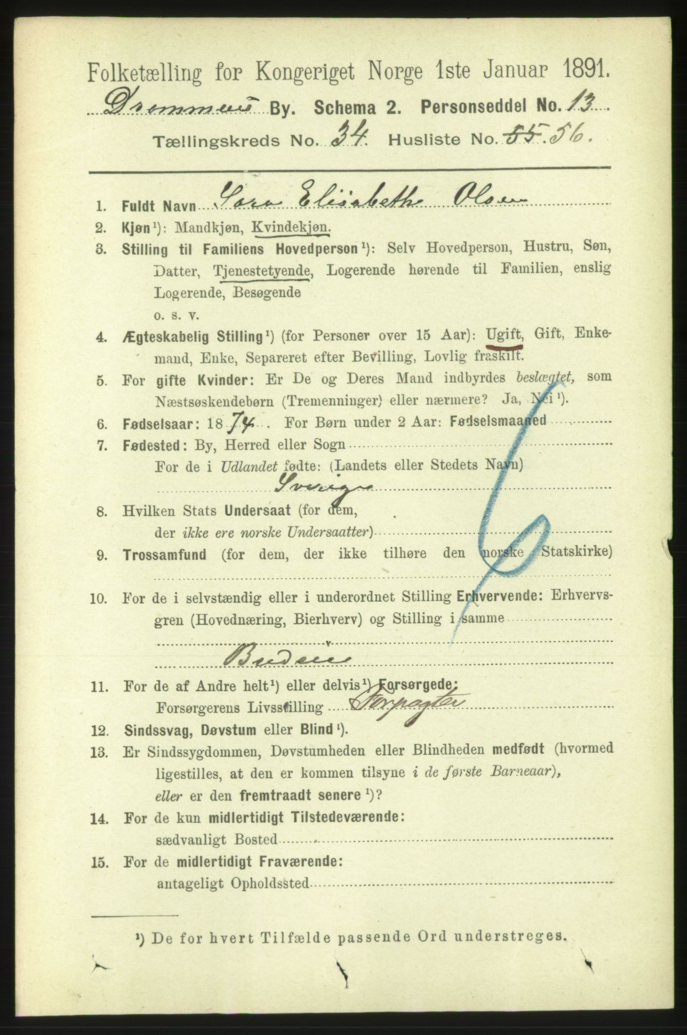 RA, 1891 census for 0602 Drammen, 1891, p. 21074