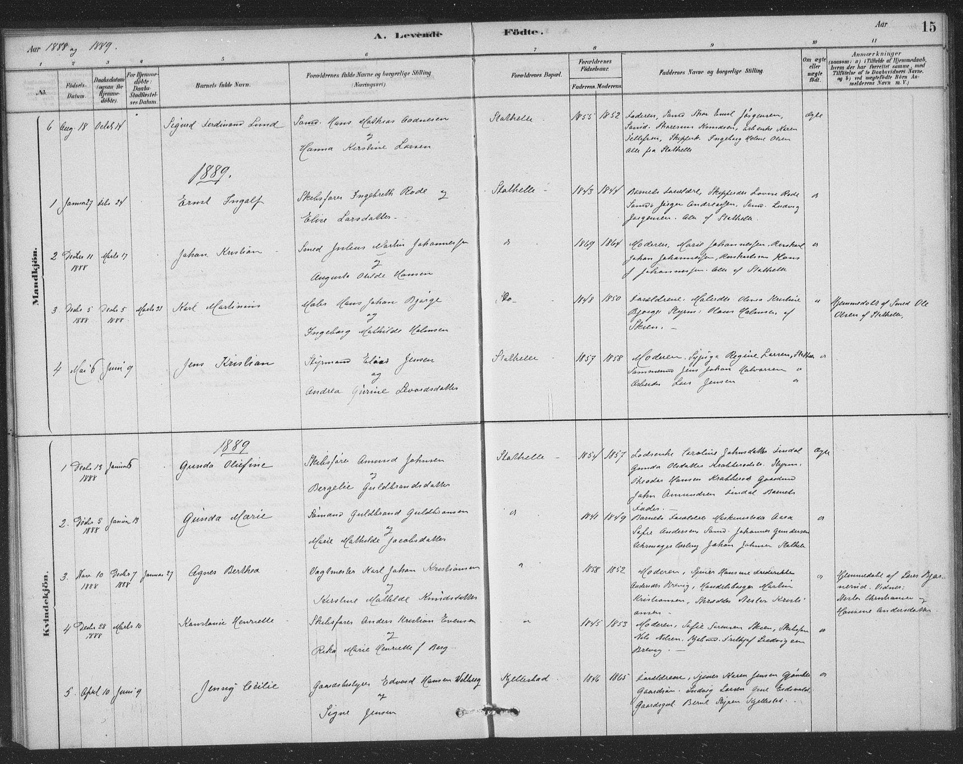 Bamble kirkebøker, SAKO/A-253/F/Fb/L0001: Parish register (official) no. II 1, 1878-1899, p. 15