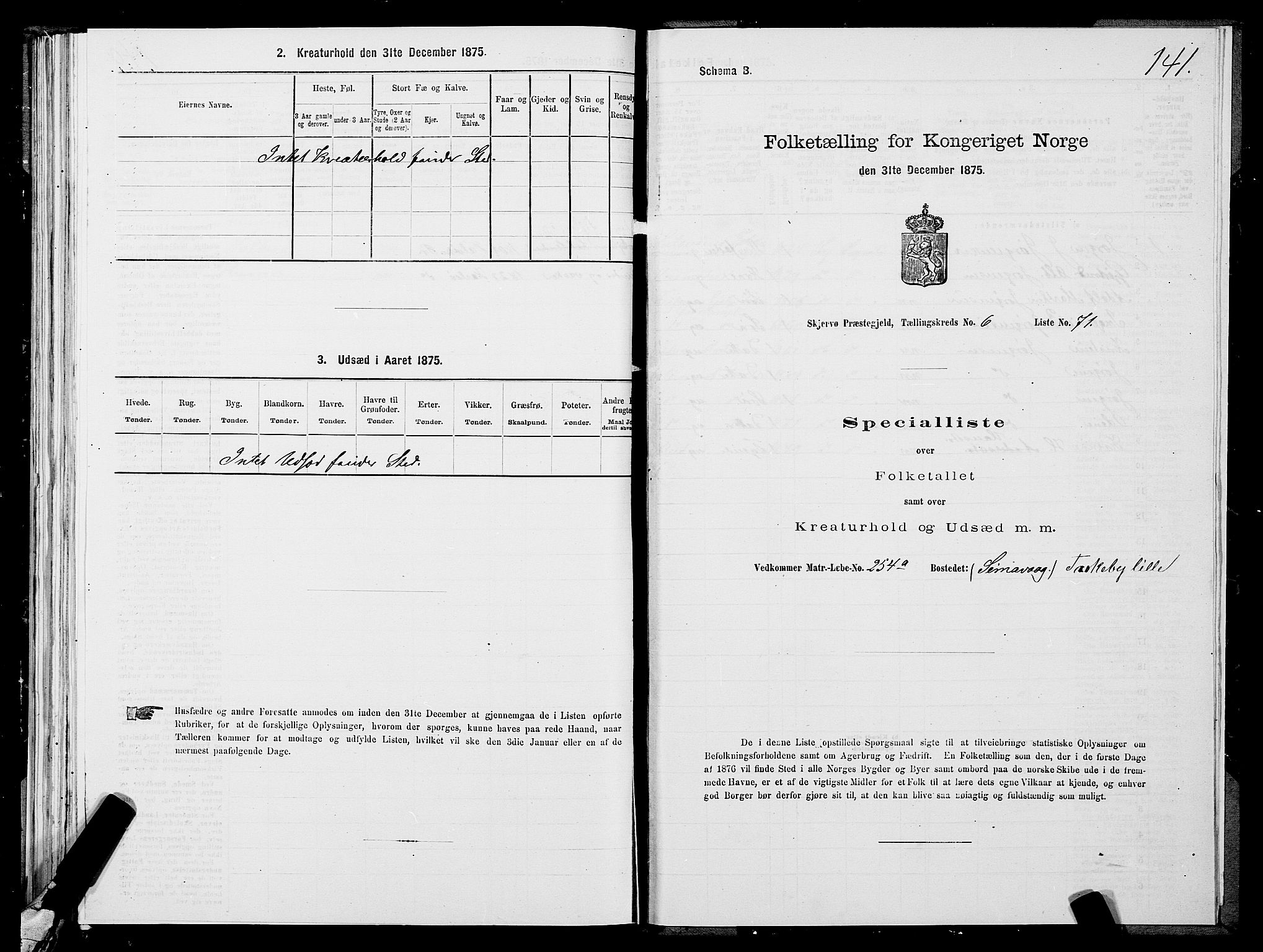 SATØ, 1875 census for 1941P Skjervøy, 1875, p. 5141