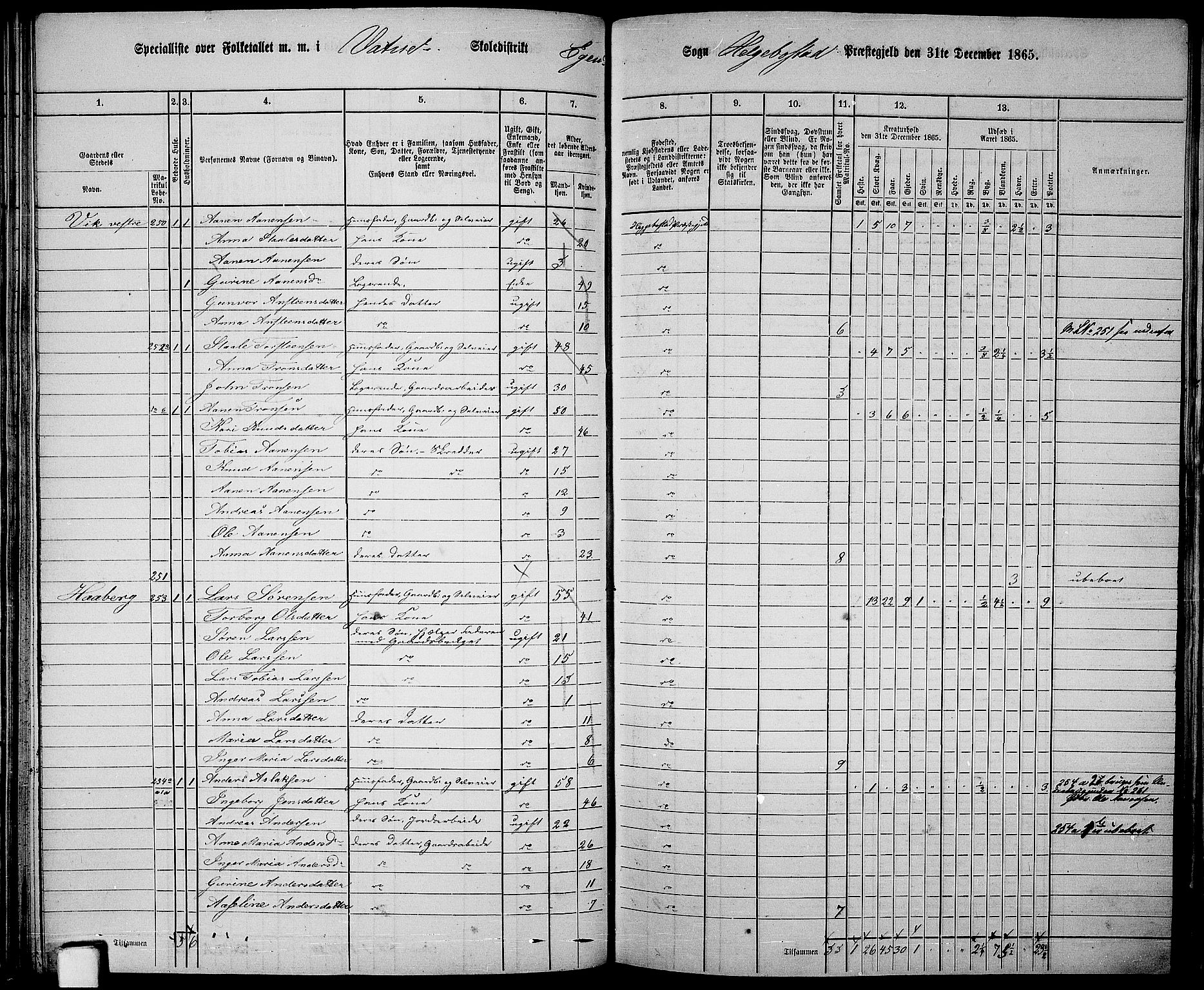 RA, 1865 census for Hægebostad, 1865, p. 74