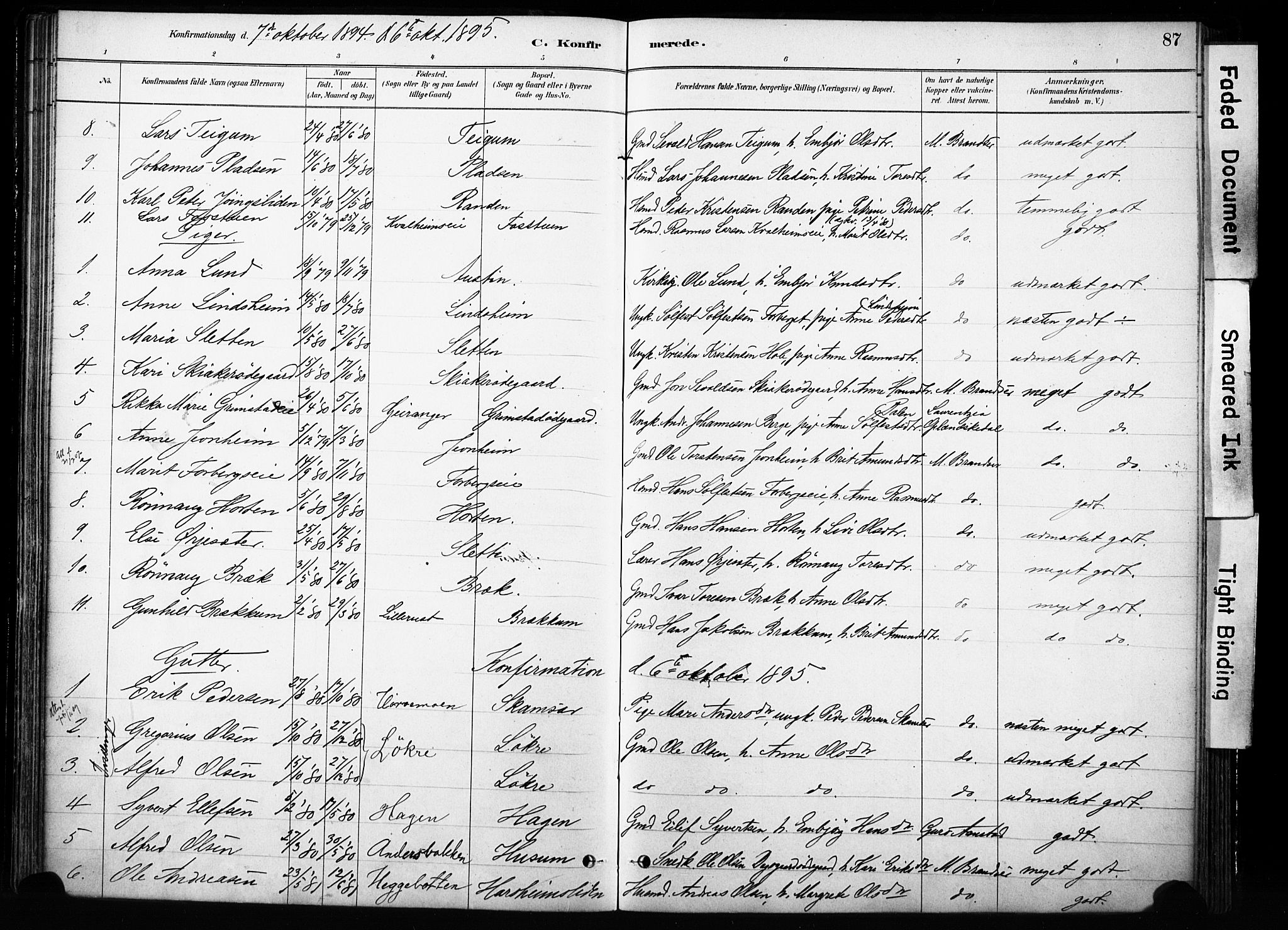 Skjåk prestekontor, SAH/PREST-072/H/Ha/Haa/L0004: Parish register (official) no. 4, 1880-1904, p. 87