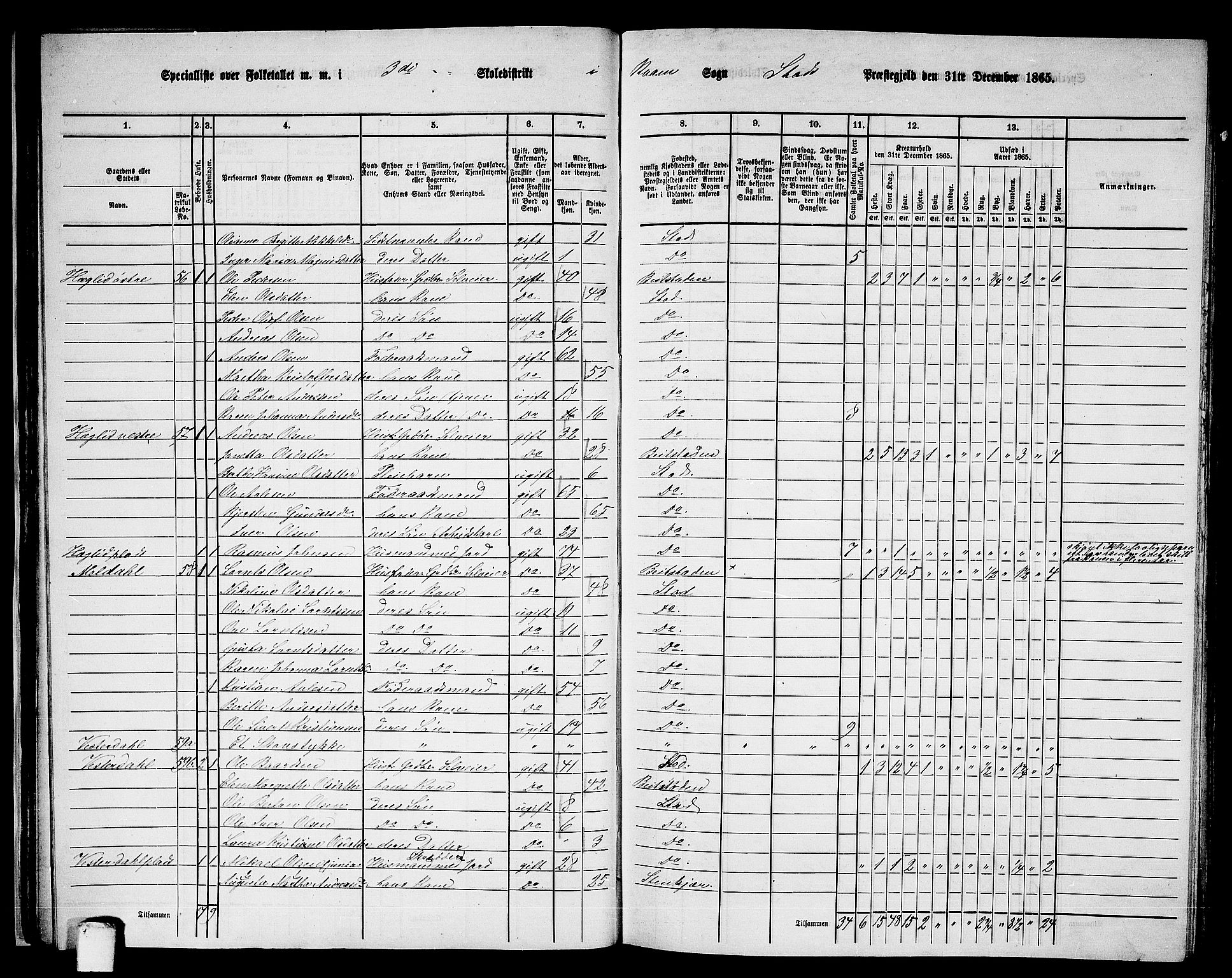 RA, 1865 census for Stod, 1865, p. 42