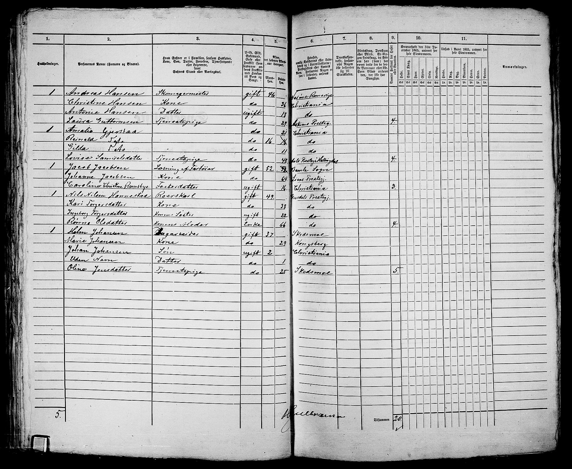 RA, 1865 census for Kristiania, 1865, p. 1259