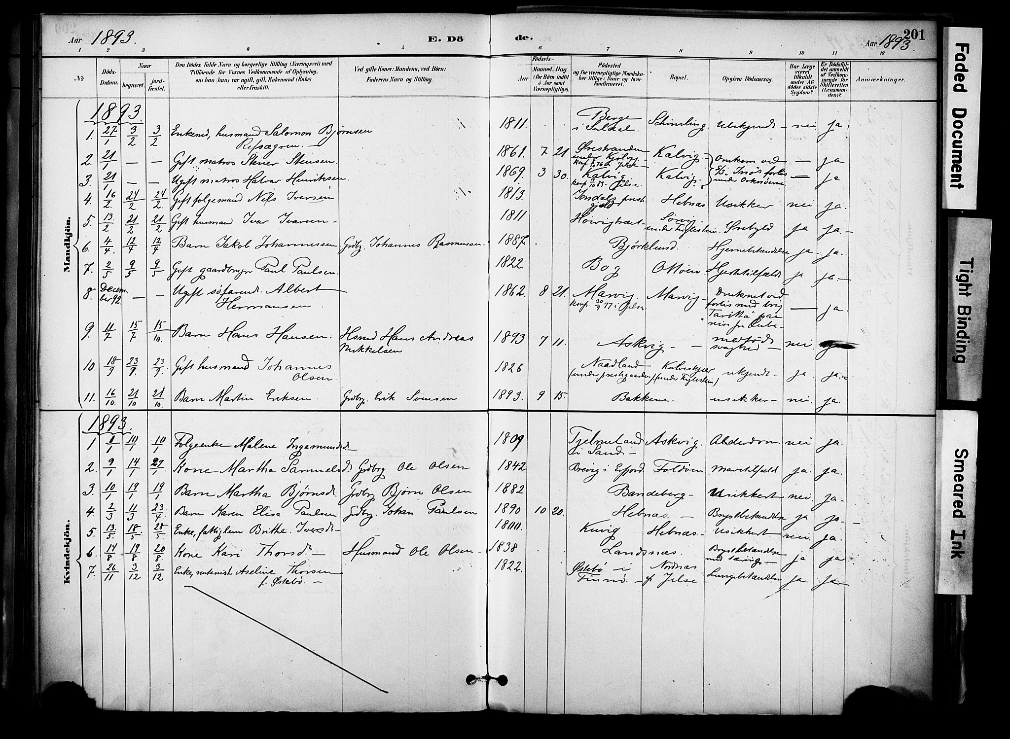 Jelsa sokneprestkontor, SAST/A-101842/01/IV: Parish register (official) no. A 10, 1884-1906, p. 201