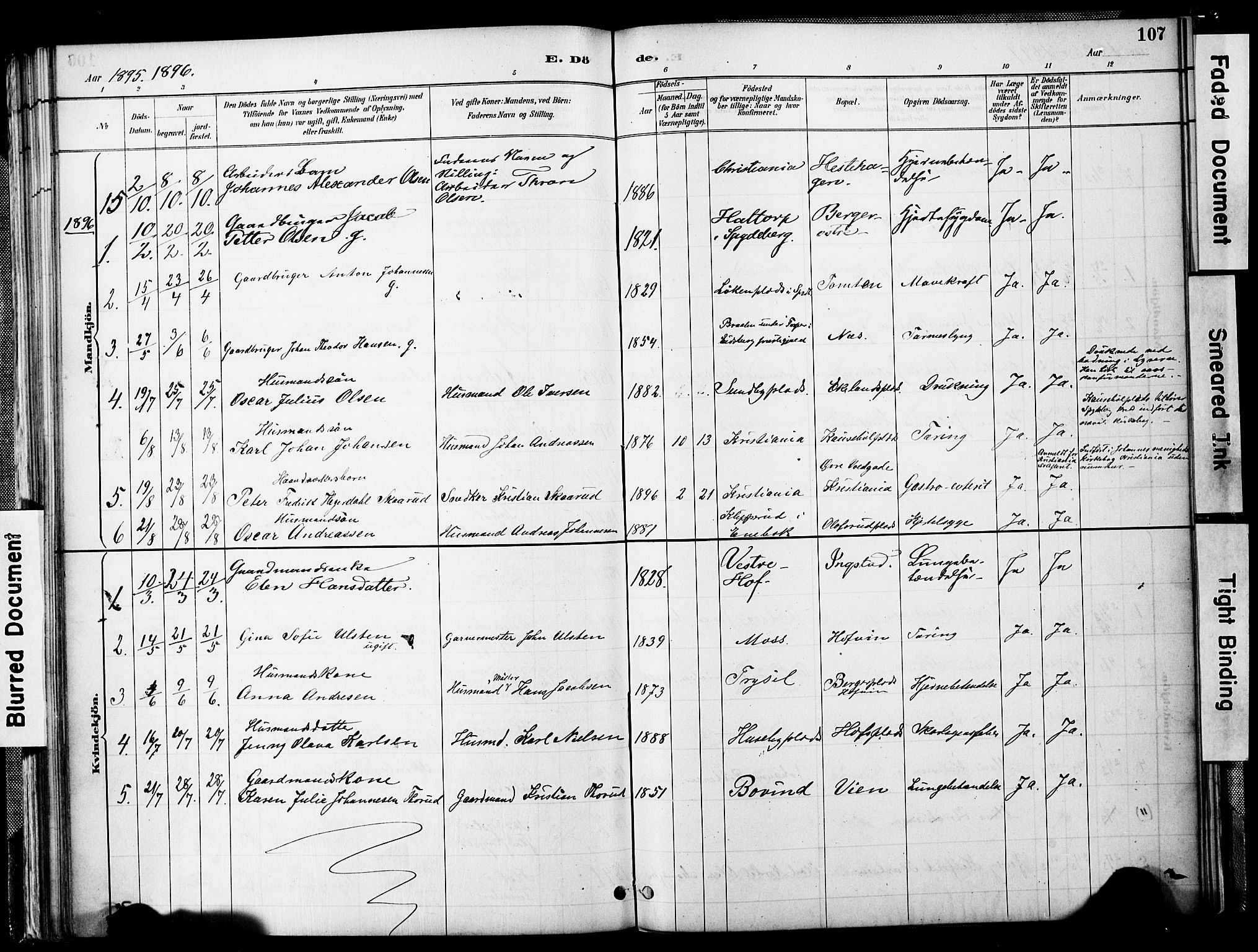 Spydeberg prestekontor Kirkebøker, SAO/A-10924/F/Fb/L0001: Parish register (official) no. II 1, 1886-1907, p. 107