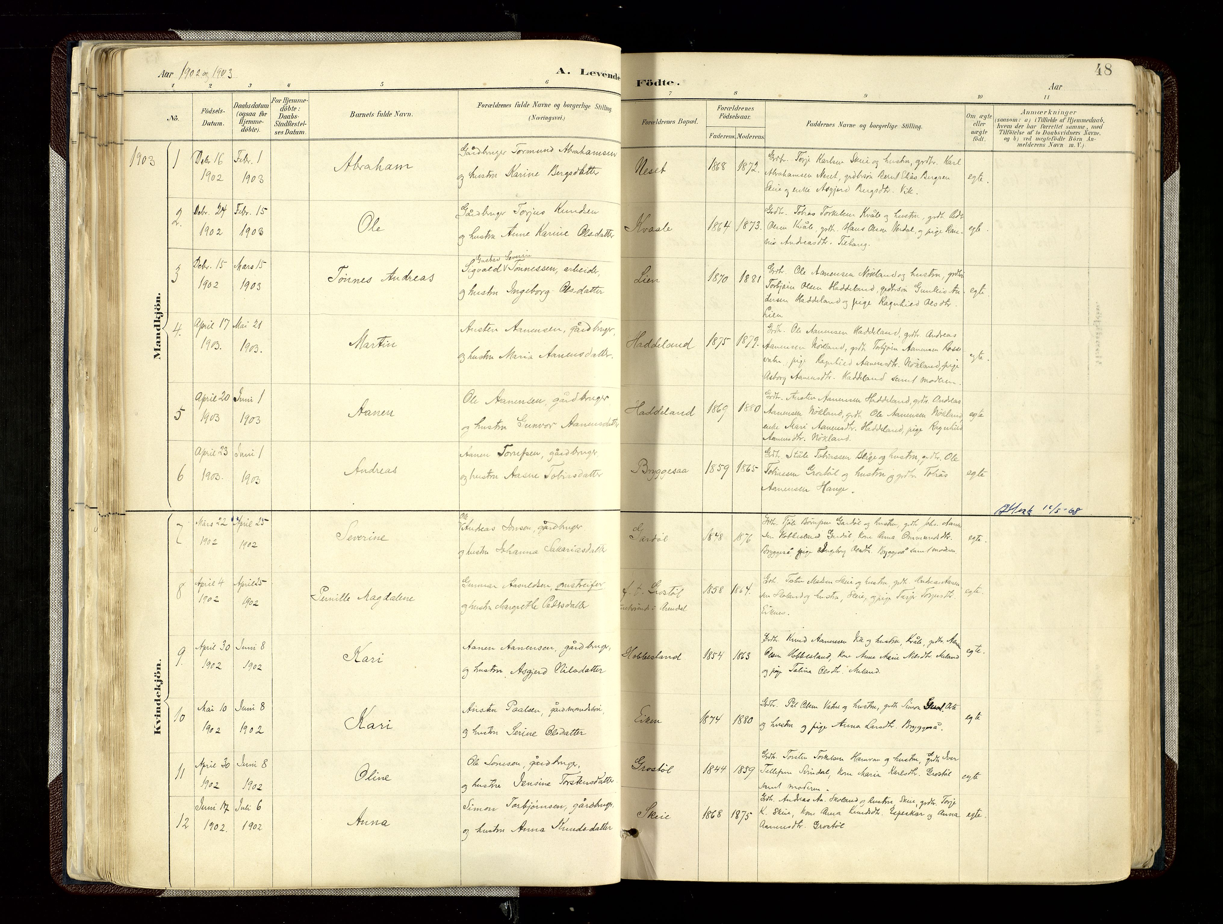Hægebostad sokneprestkontor, SAK/1111-0024/F/Fa/Fab/L0004: Parish register (official) no. A 4, 1887-1929, p. 48