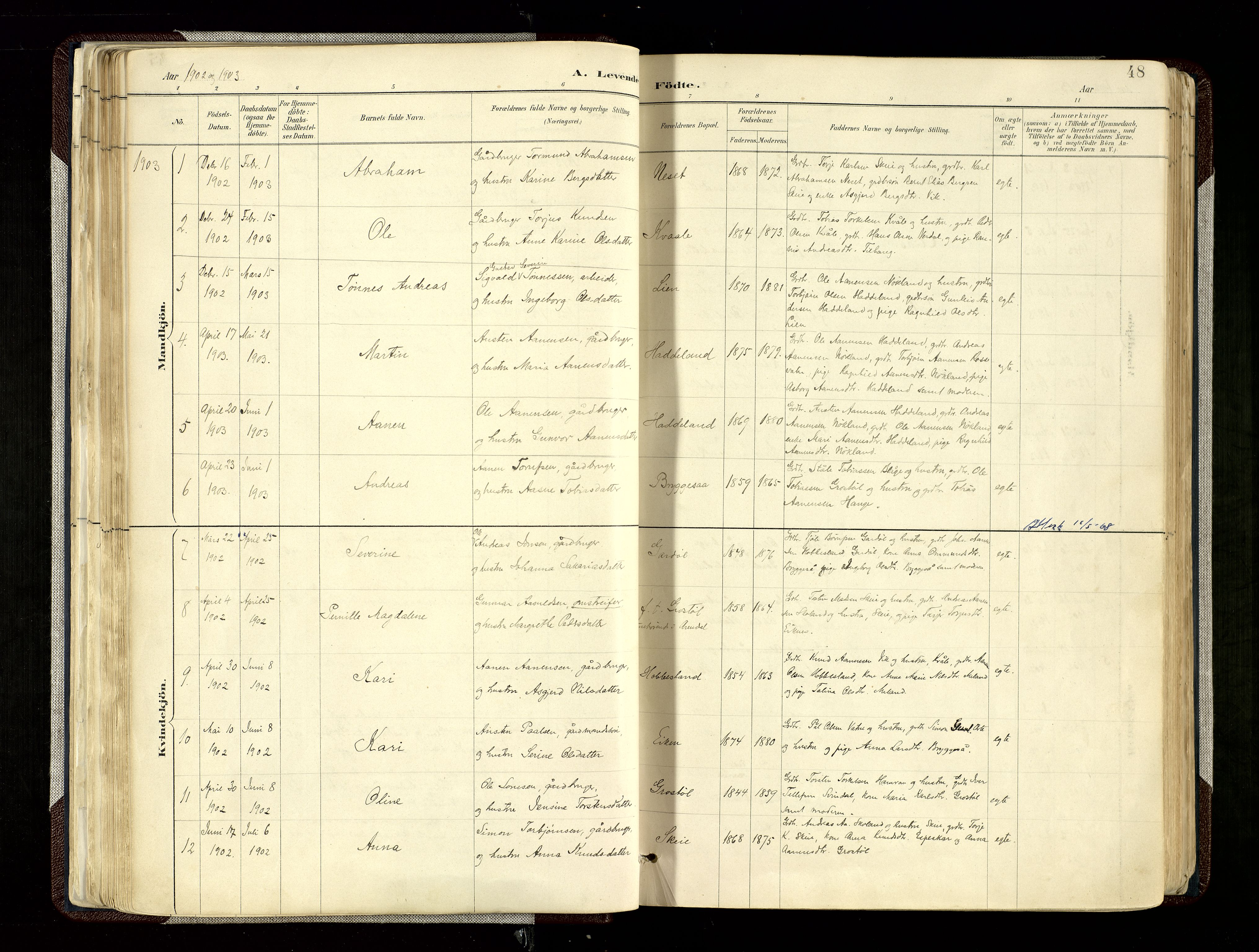 Hægebostad sokneprestkontor, AV/SAK-1111-0024/F/Fa/Fab/L0004: Parish register (official) no. A 4, 1887-1929, p. 48