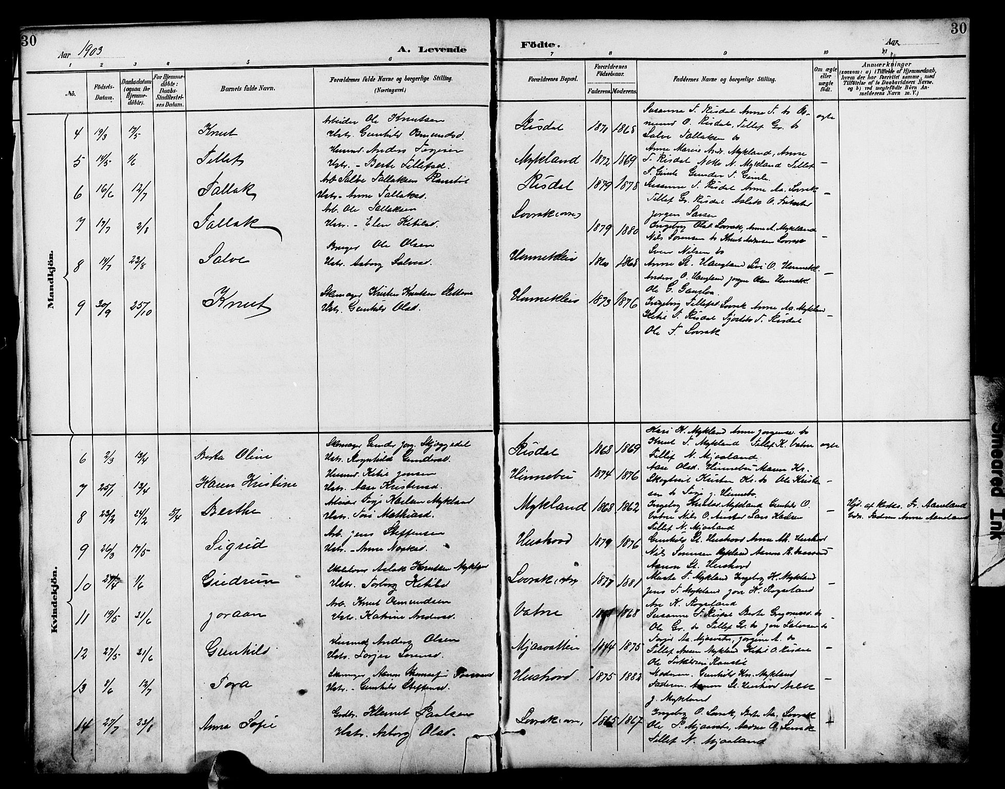 Herefoss sokneprestkontor, AV/SAK-1111-0019/F/Fb/Fbc/L0003: Parish register (copy) no. B 3, 1887-1915, p. 30