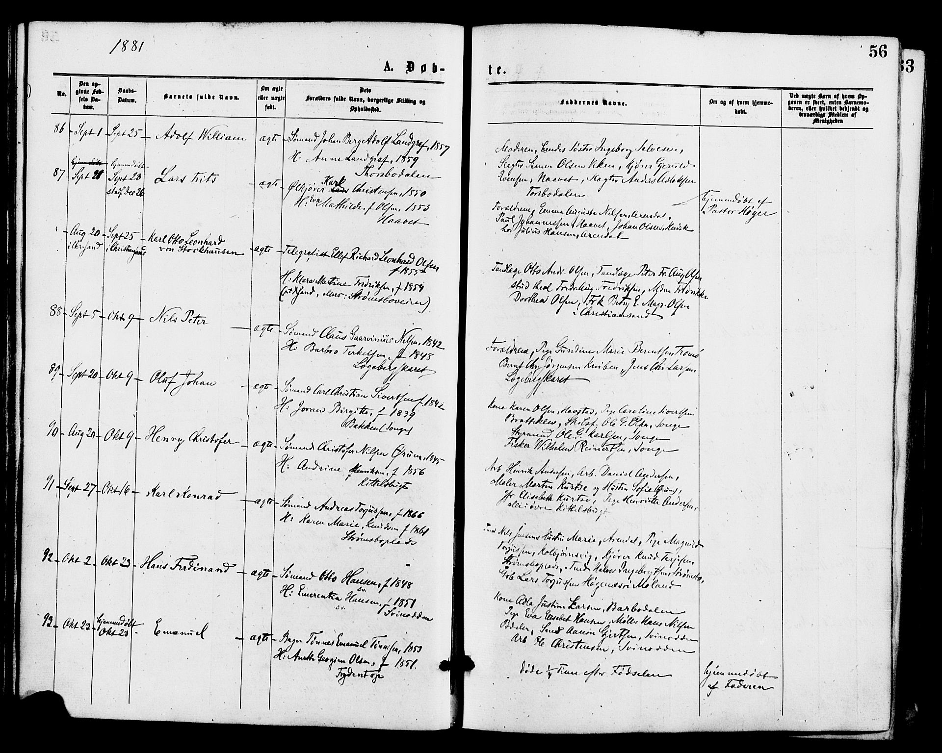 Barbu sokneprestkontor, AV/SAK-1111-0003/F/Fa/L0001: Parish register (official) no. A 1 /1, 1878-1883, p. 56