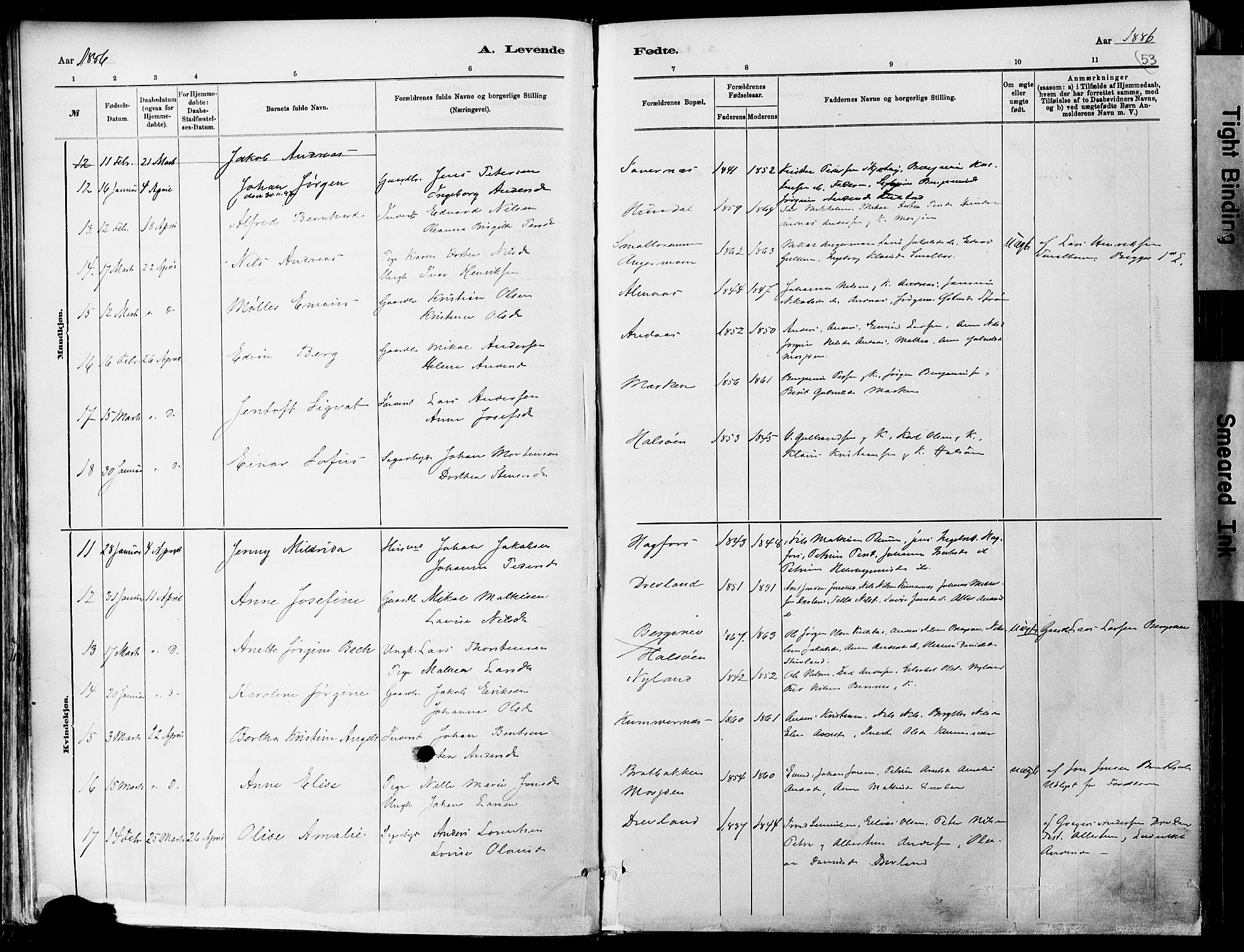 Ministerialprotokoller, klokkerbøker og fødselsregistre - Nordland, AV/SAT-A-1459/820/L0295: Parish register (official) no. 820A16, 1880-1896, p. 53