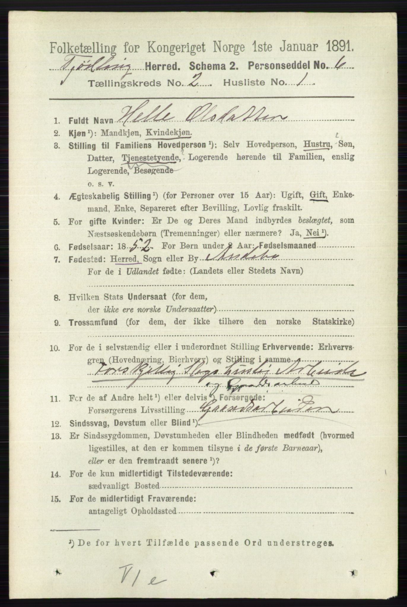 RA, 1891 census for 0725 Tjølling, 1891, p. 505