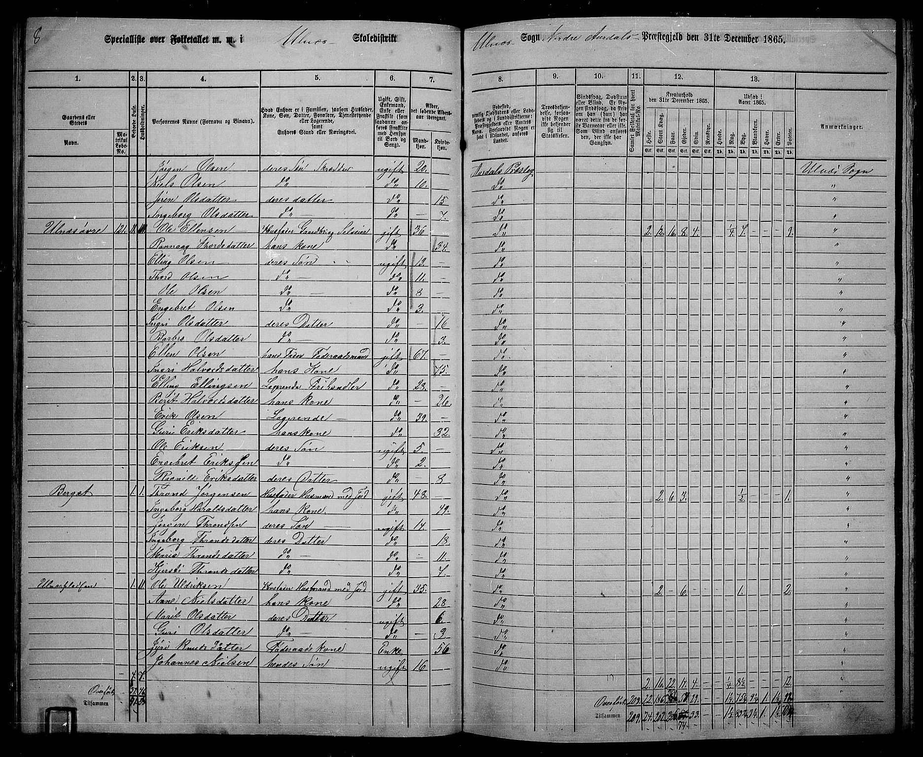 RA, 1865 census for Nord-Aurdal, 1865, p. 117