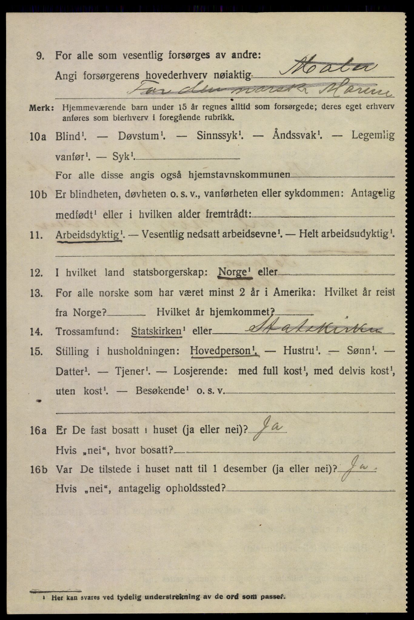 SAKO, 1920 census for Borre, 1920, p. 2633
