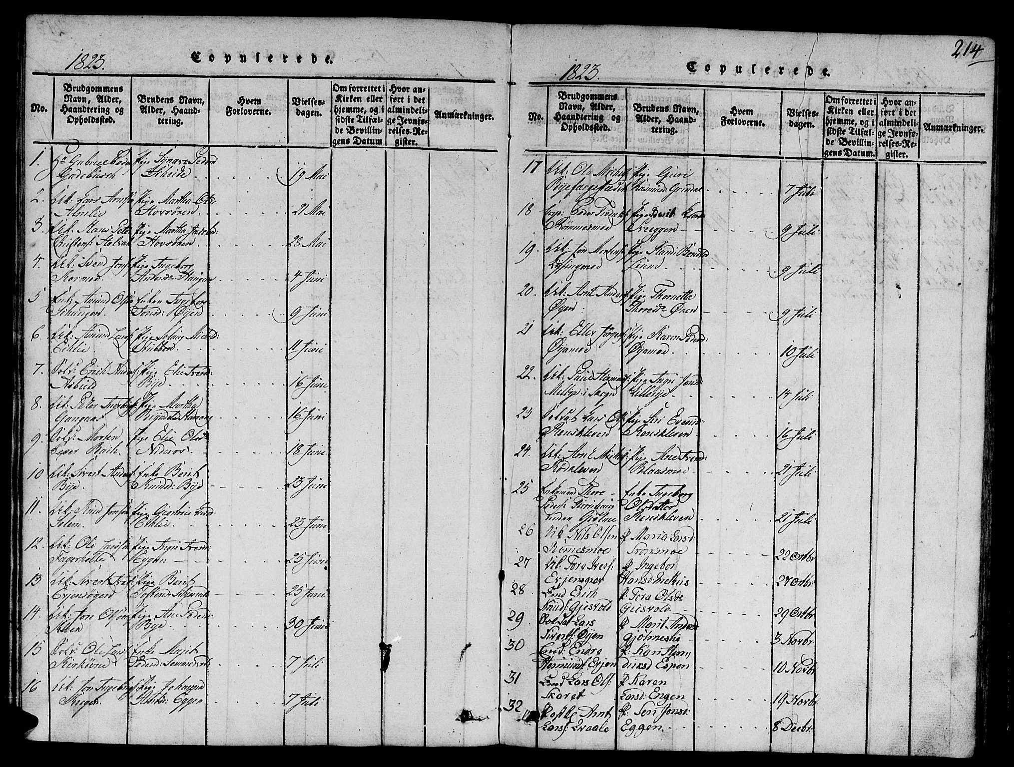 Ministerialprotokoller, klokkerbøker og fødselsregistre - Sør-Trøndelag, SAT/A-1456/668/L0803: Parish register (official) no. 668A03, 1800-1826, p. 214