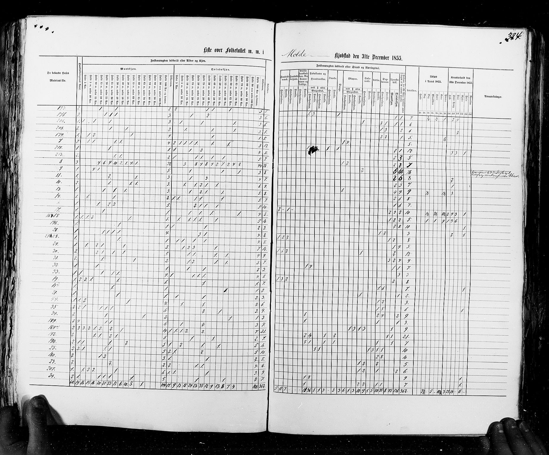 RA, Census 1855, vol. 8: Risør-Vadsø, 1855, p. 384