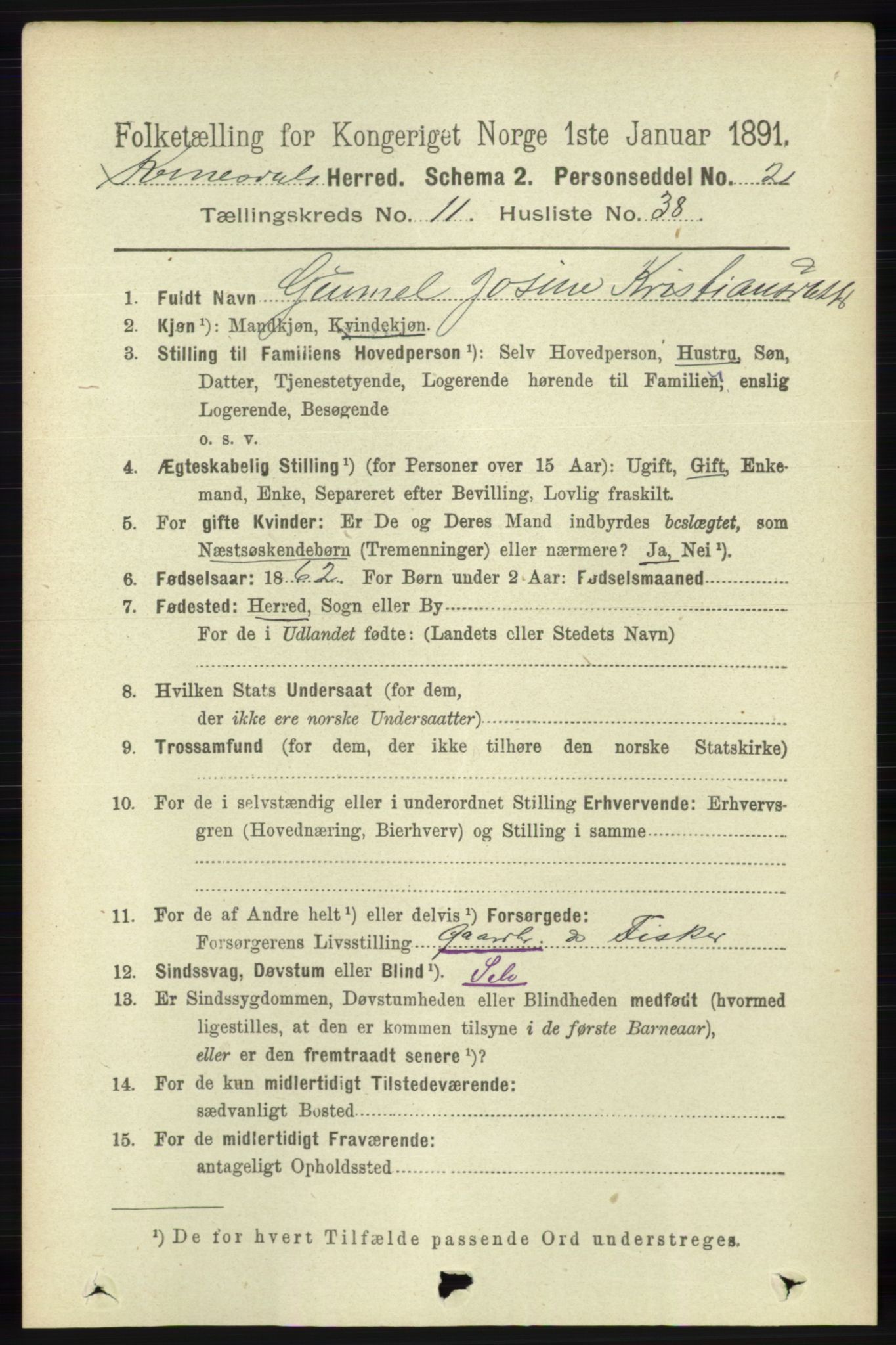 RA, 1891 census for 1037 Kvinesdal, 1891, p. 4701