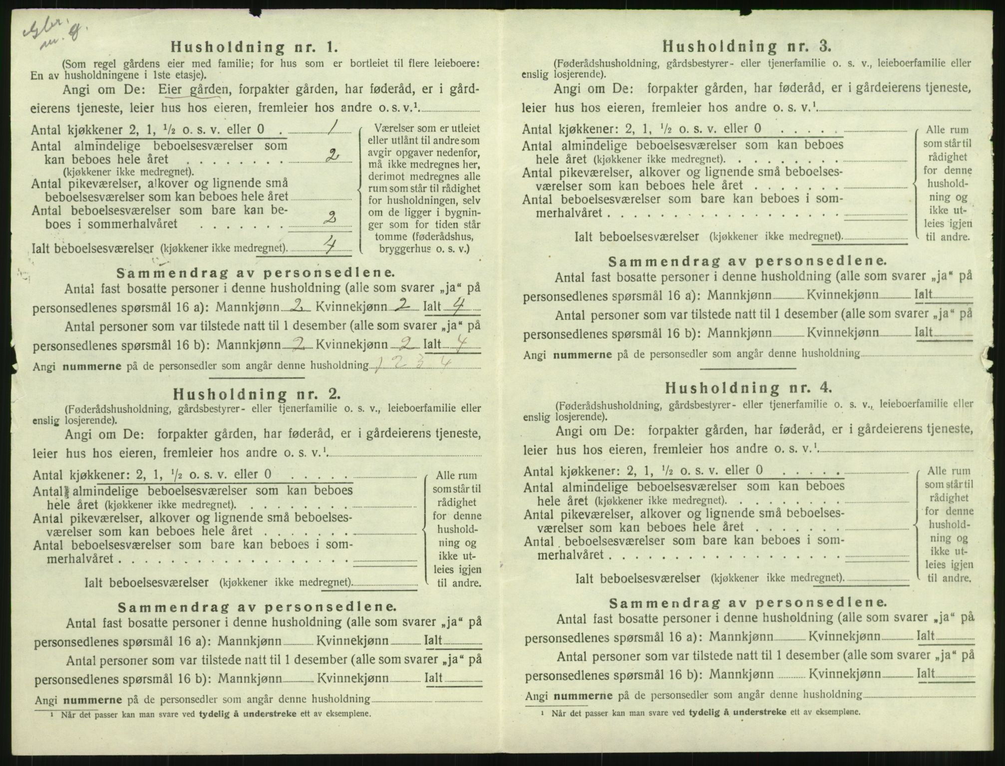 SAT, 1920 census for Hustad, 1920, p. 300