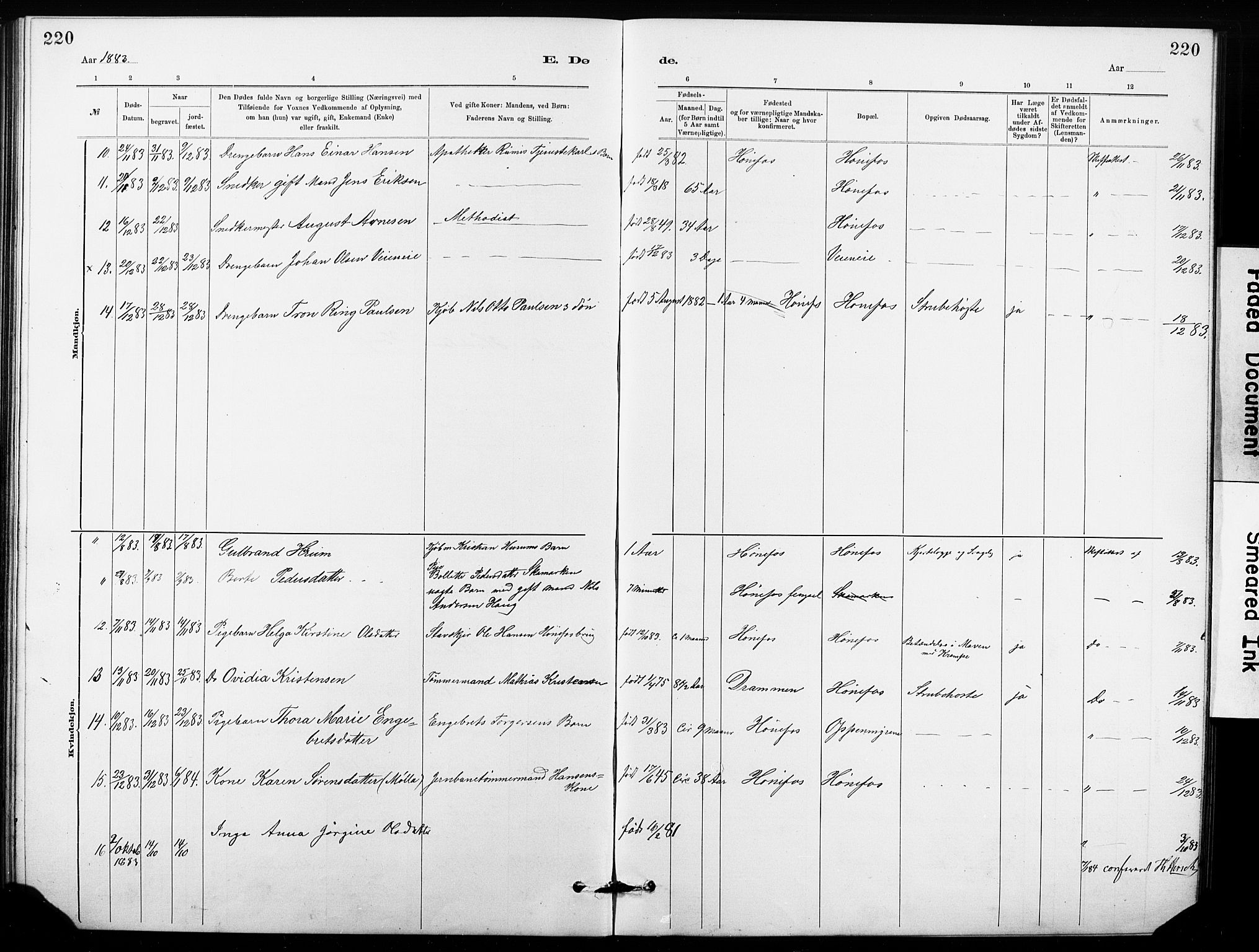 Hønefoss kirkebøker, AV/SAKO-A-609/G/Ga/L0001: Parish register (copy) no. 1, 1870-1887, p. 220