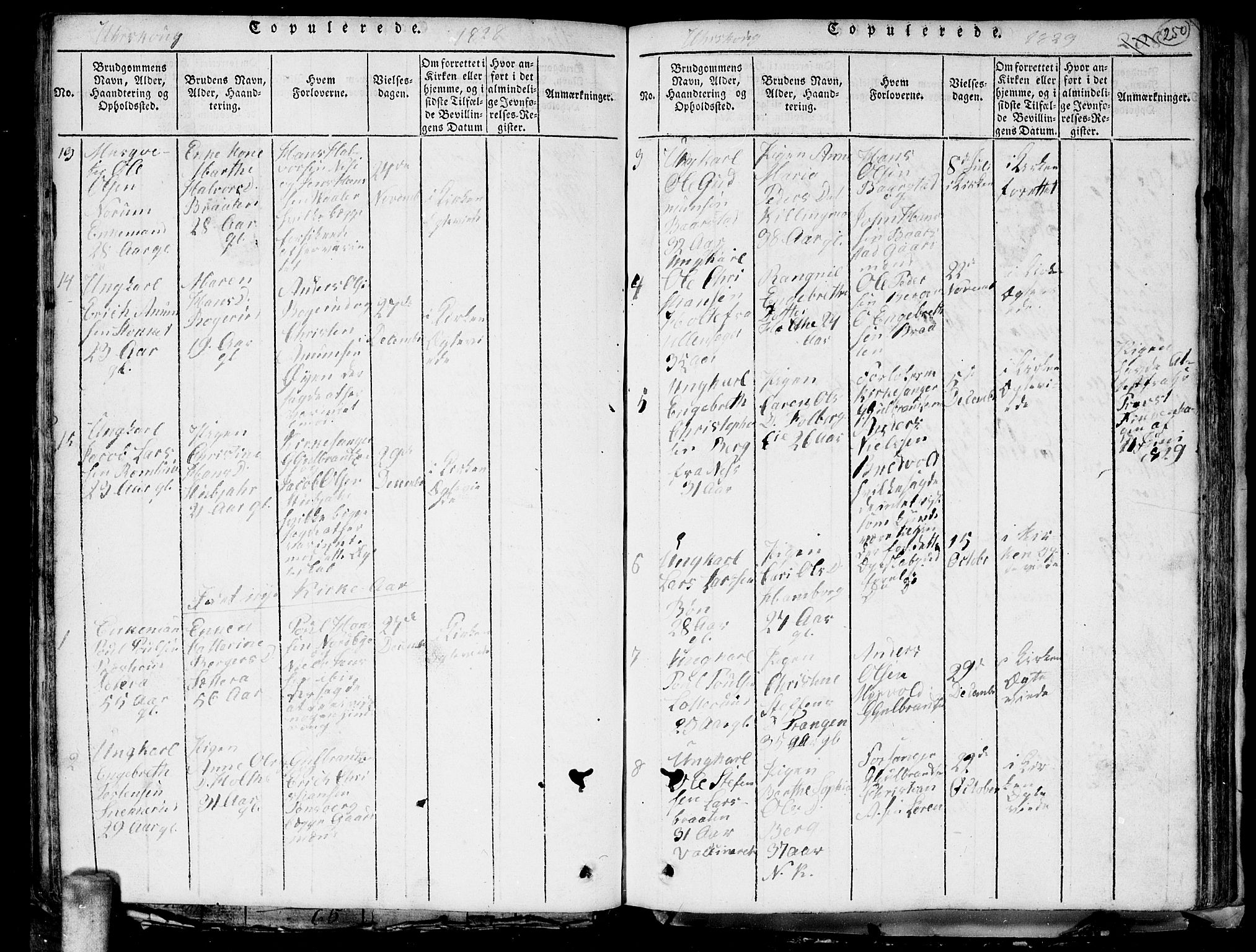 Aurskog prestekontor Kirkebøker, SAO/A-10304a/G/Ga/L0001: Parish register (copy) no. I 1, 1814-1829, p. 250