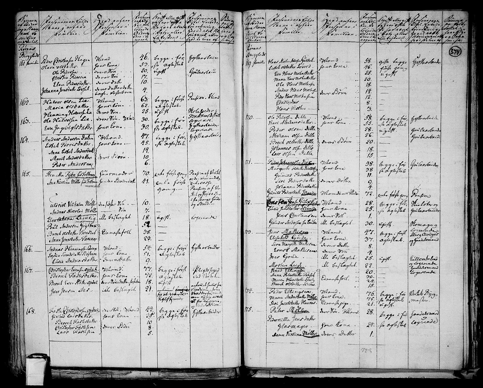 RA, 1801 census for 1640P Røros, 1801, p. 373b-374a