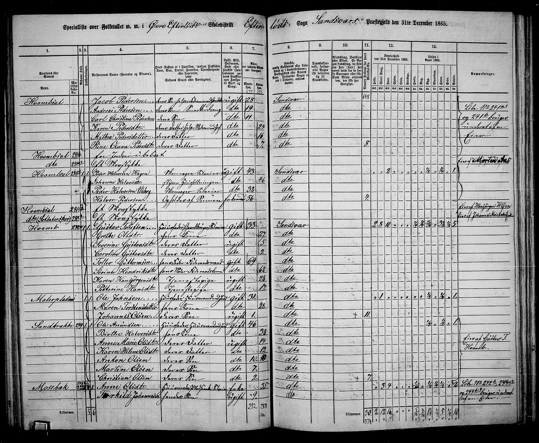 RA, 1865 census for Sandsvær, 1865, p. 107