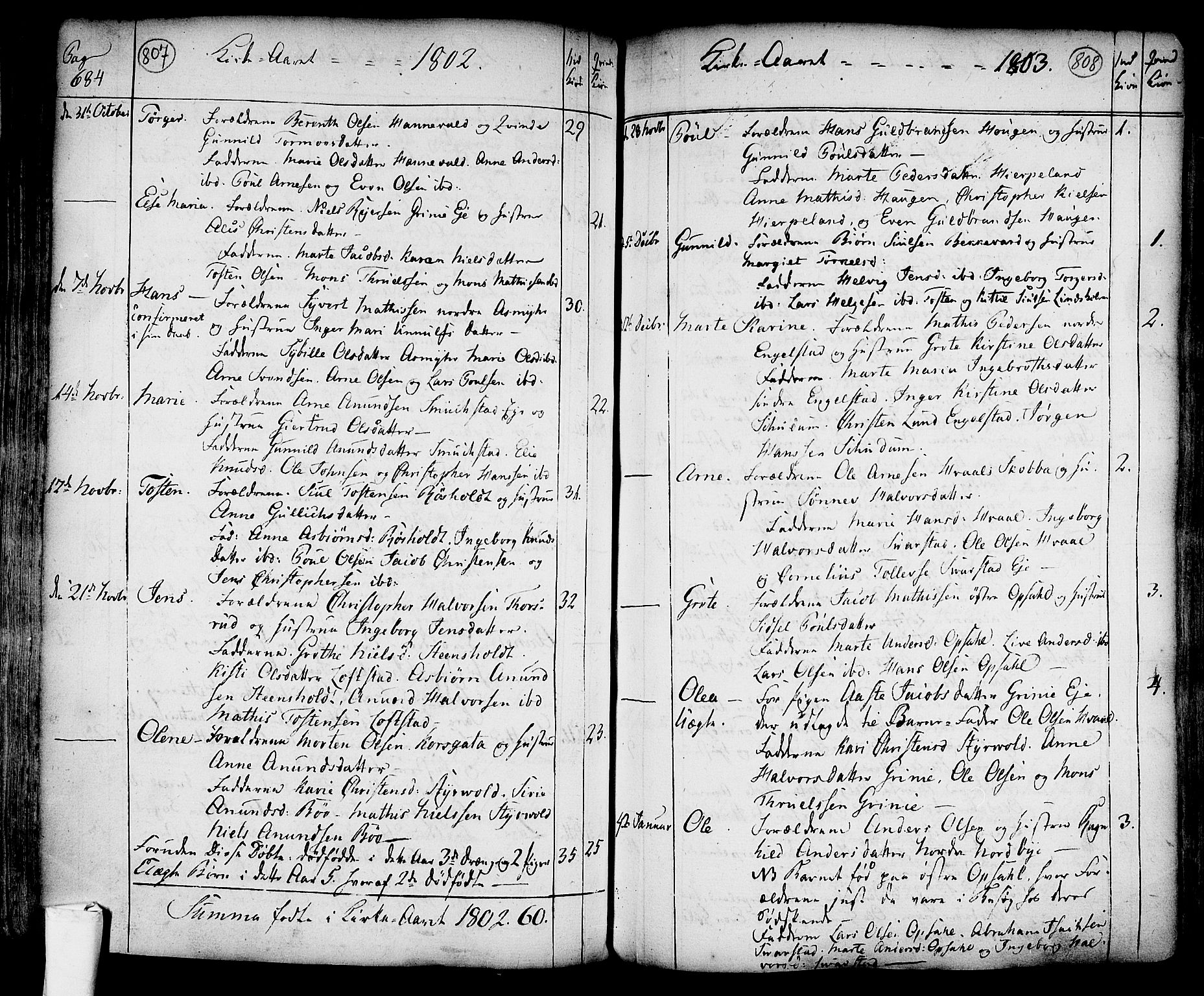 Lardal kirkebøker, AV/SAKO-A-350/F/Fa/L0003: Parish register (official) no. I 3, 1733-1815, p. 807-808