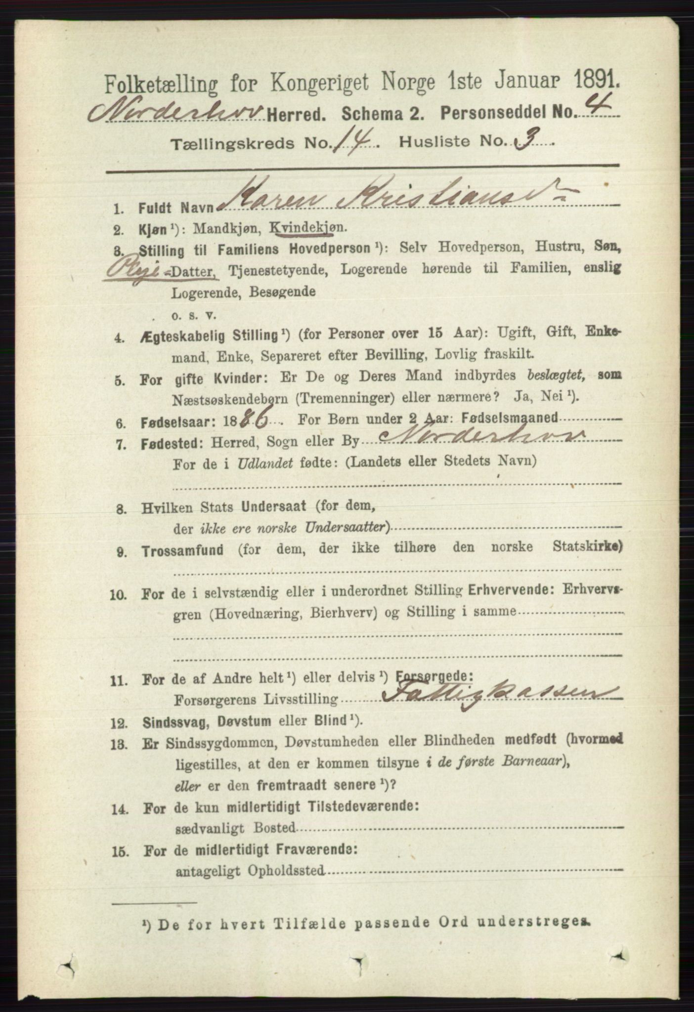 RA, 1891 census for 0613 Norderhov, 1891, p. 9345