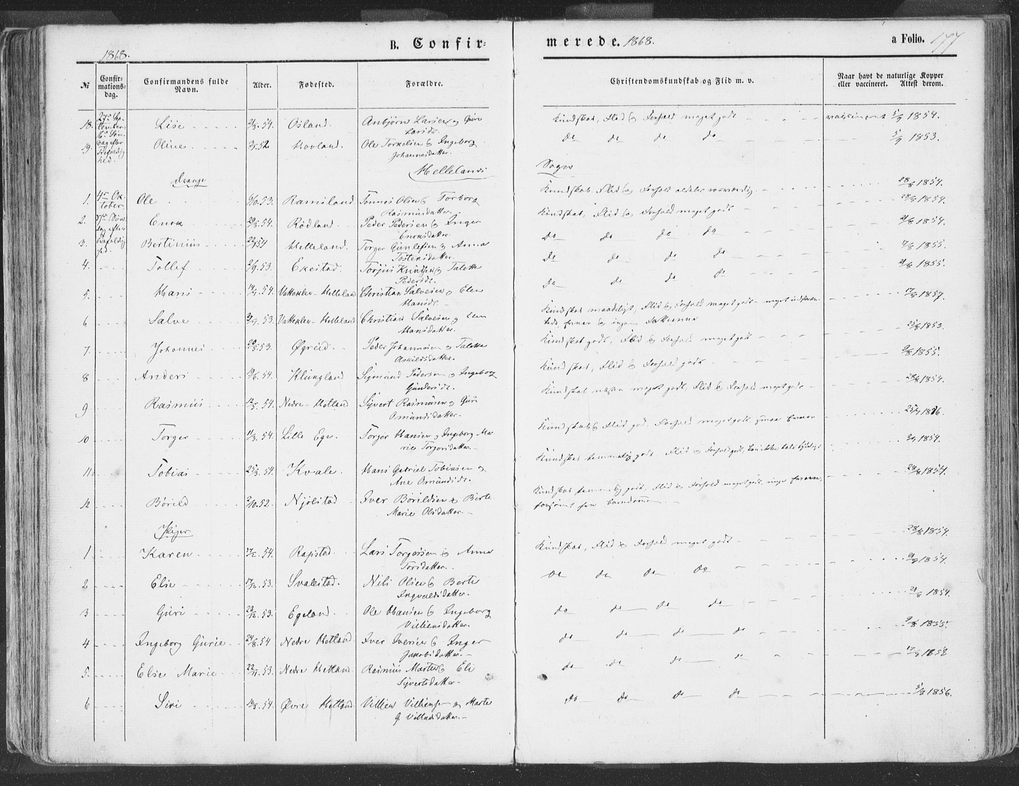 Helleland sokneprestkontor, AV/SAST-A-101810: Parish register (official) no. A 7.1, 1863-1886, p. 177