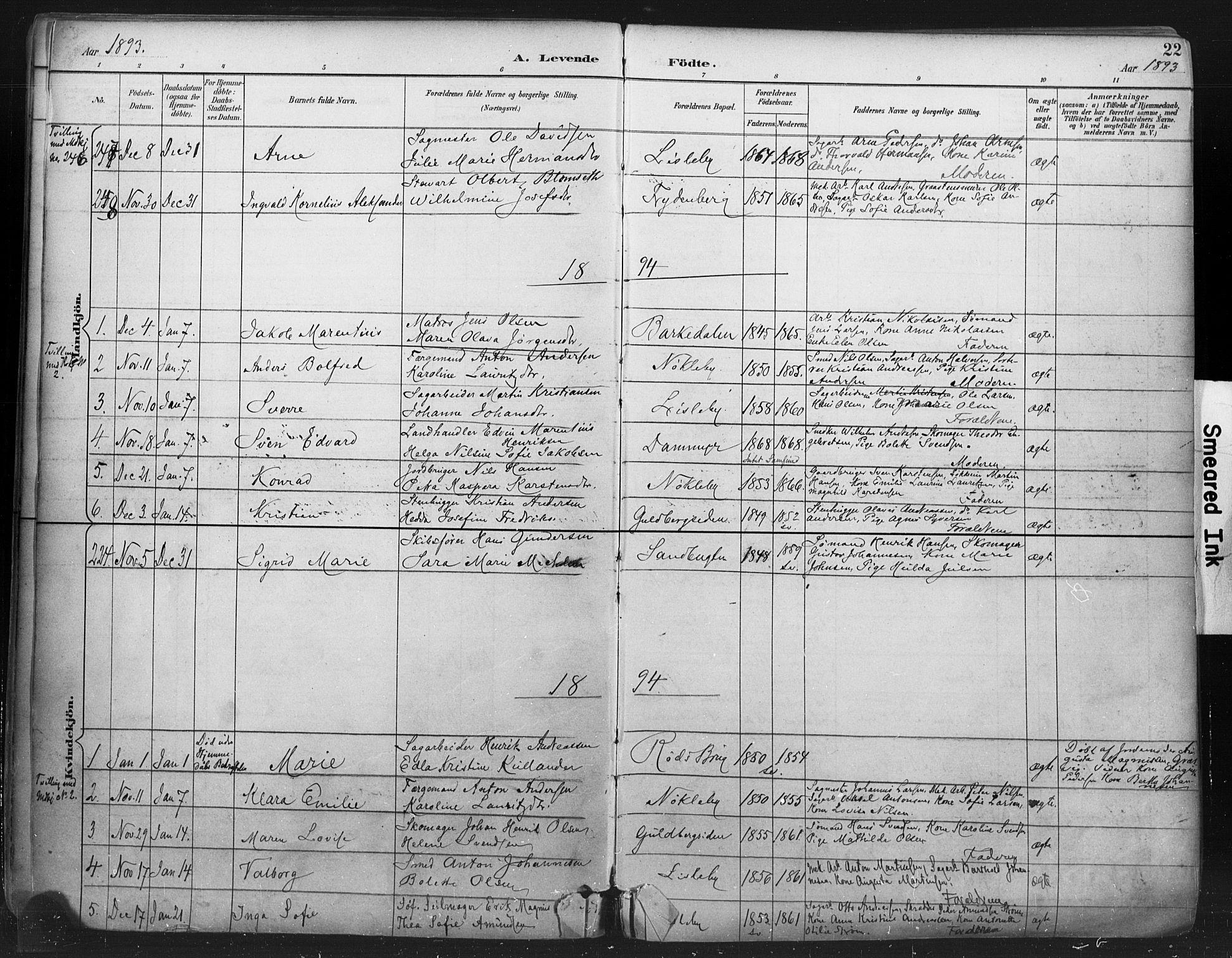Glemmen prestekontor Kirkebøker, SAO/A-10908/F/Fa/L0013: Parish register (official) no. 13, 1892-1907, p. 22