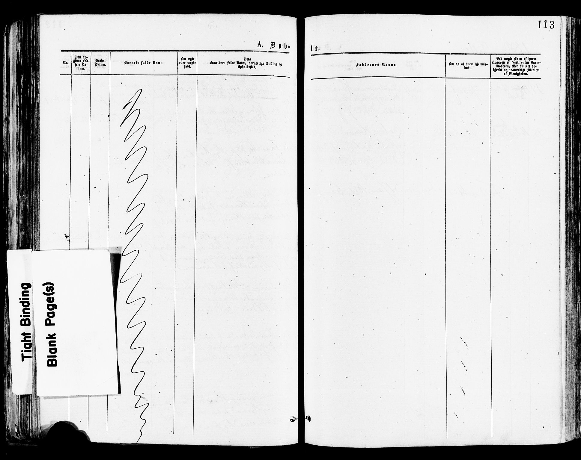 Tønsberg kirkebøker, AV/SAKO-A-330/F/Fa/L0010: Parish register (official) no. I 10, 1874-1880, p. 113