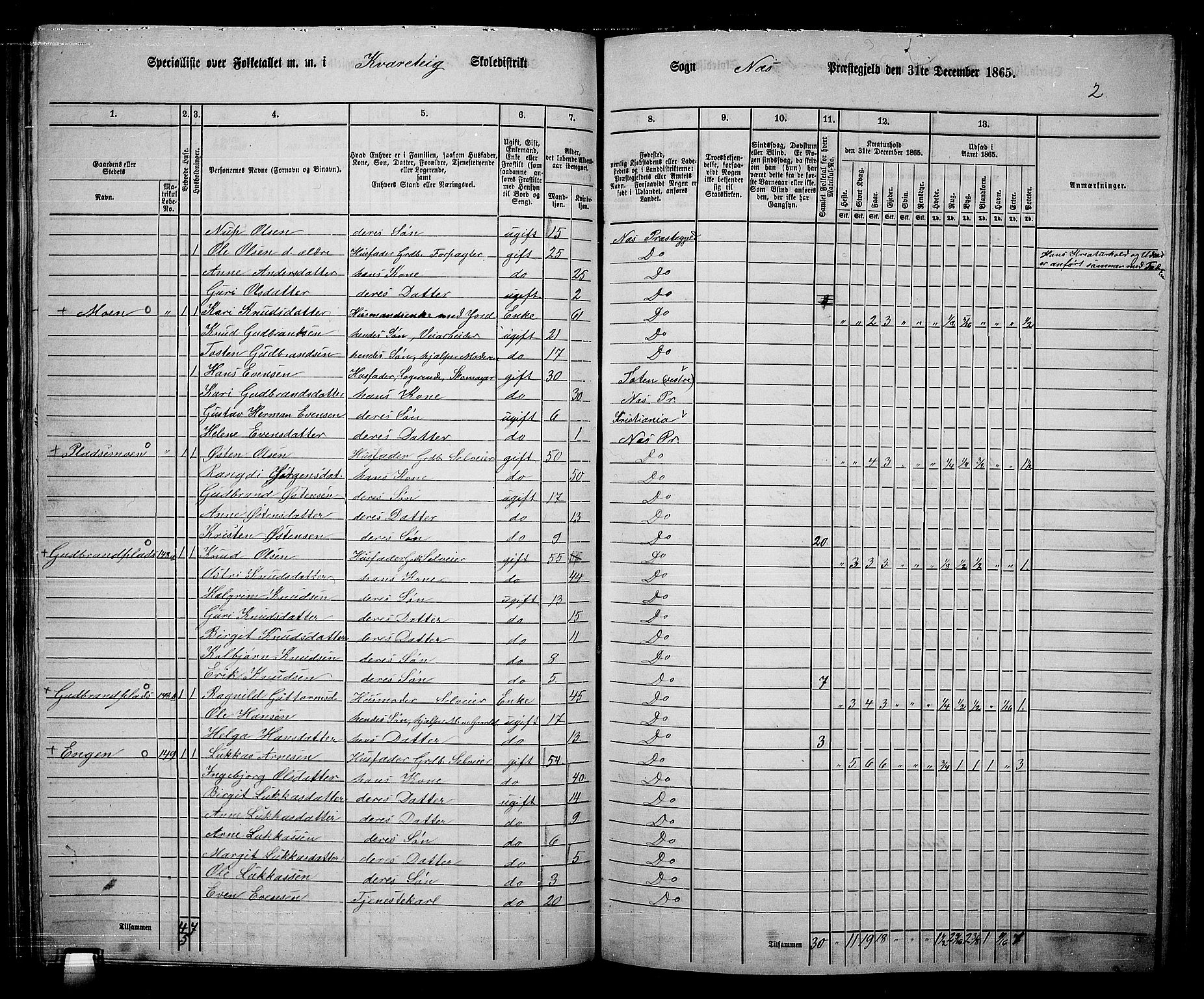 RA, 1865 census for Nes, 1865, p. 129