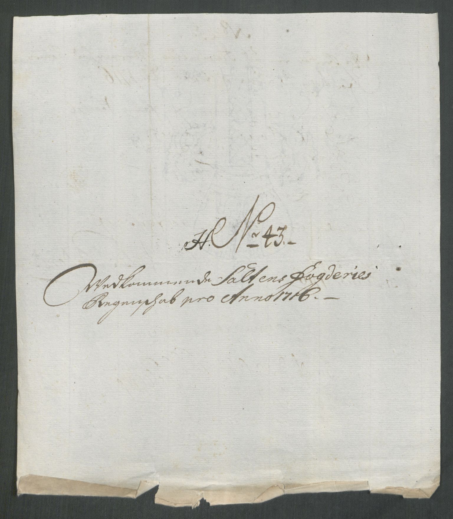 Rentekammeret inntil 1814, Reviderte regnskaper, Fogderegnskap, AV/RA-EA-4092/R66/L4586: Fogderegnskap Salten, 1716, p. 253