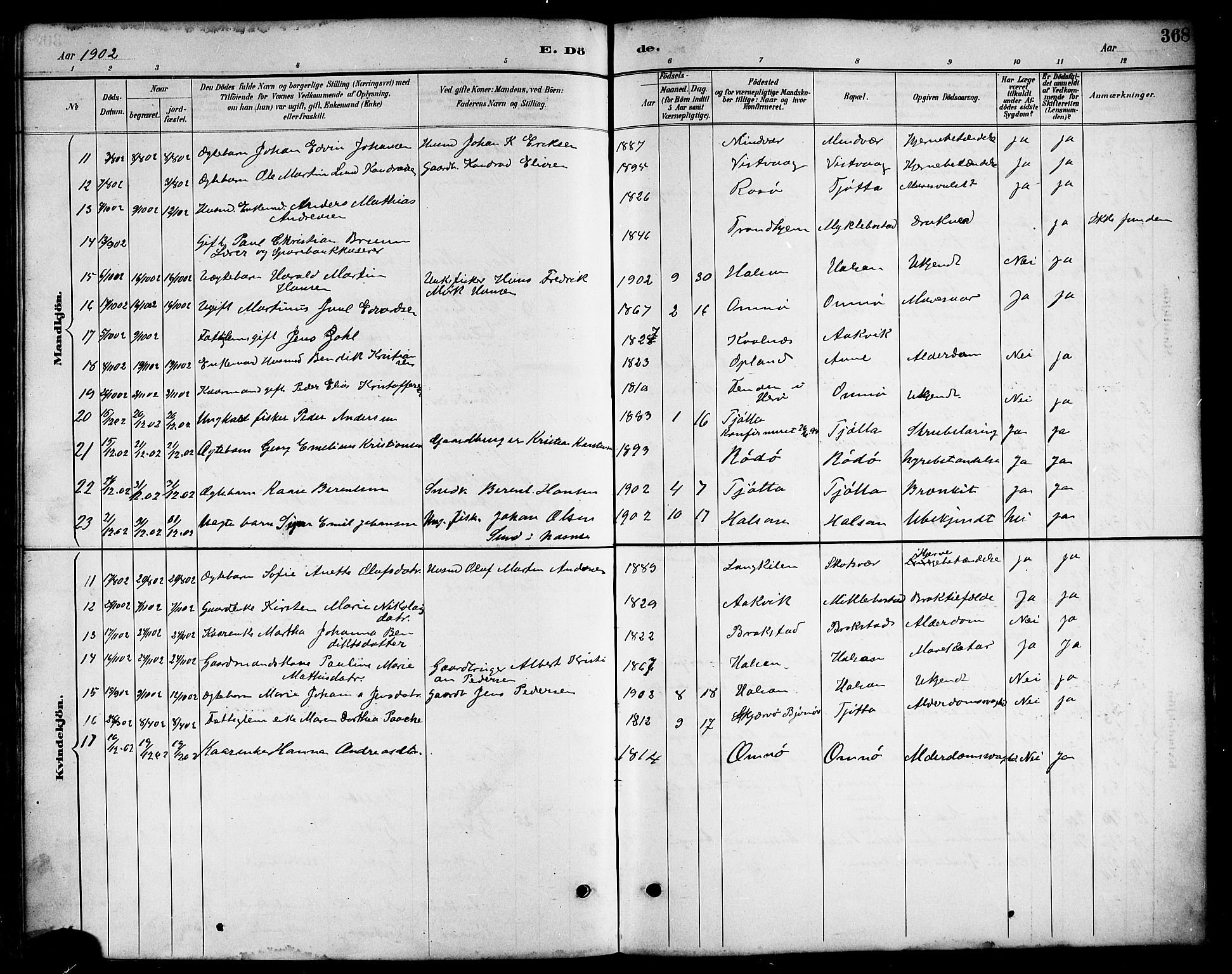 Ministerialprotokoller, klokkerbøker og fødselsregistre - Nordland, AV/SAT-A-1459/817/L0268: Parish register (copy) no. 817C03, 1884-1920, p. 368