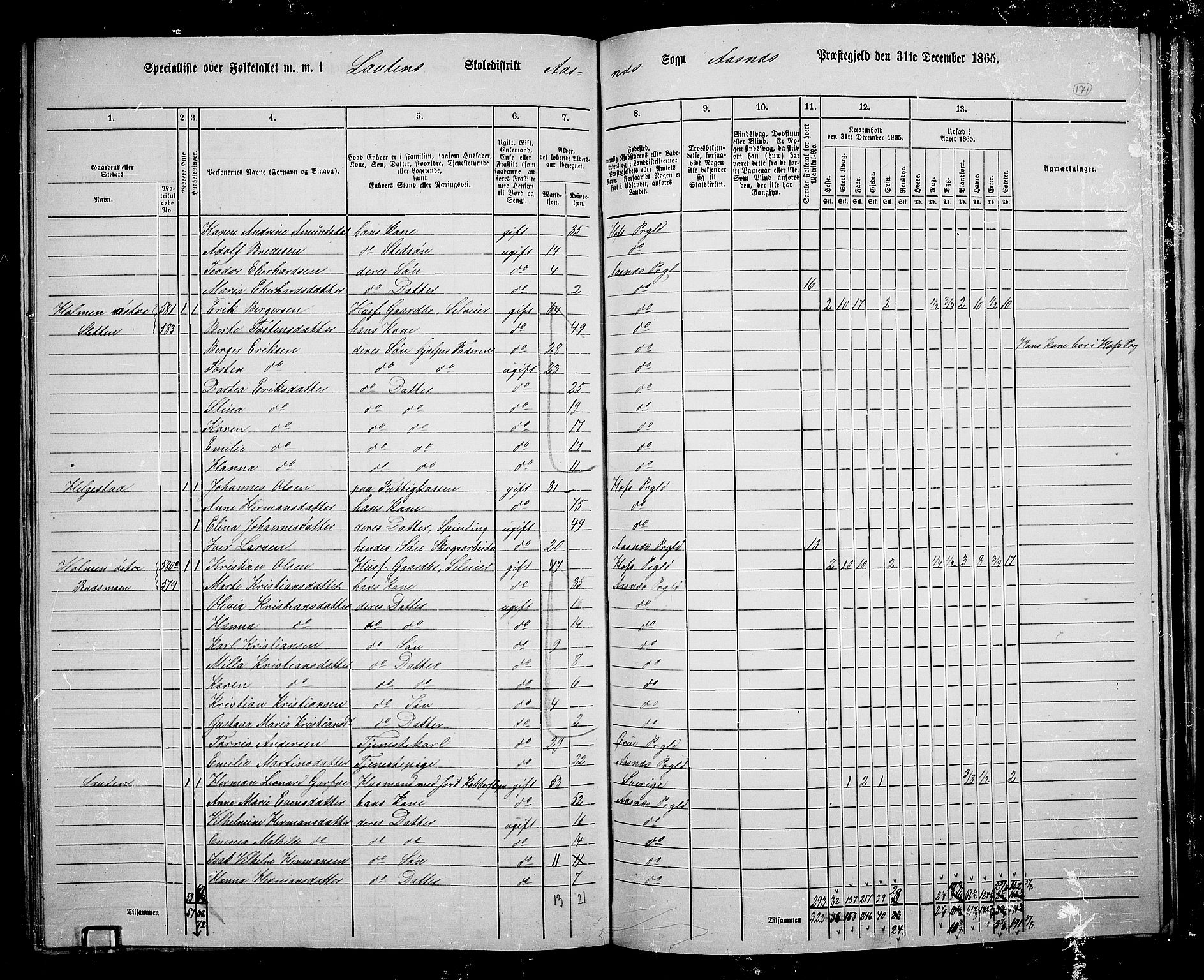 RA, 1865 census for Åsnes, 1865, p. 159