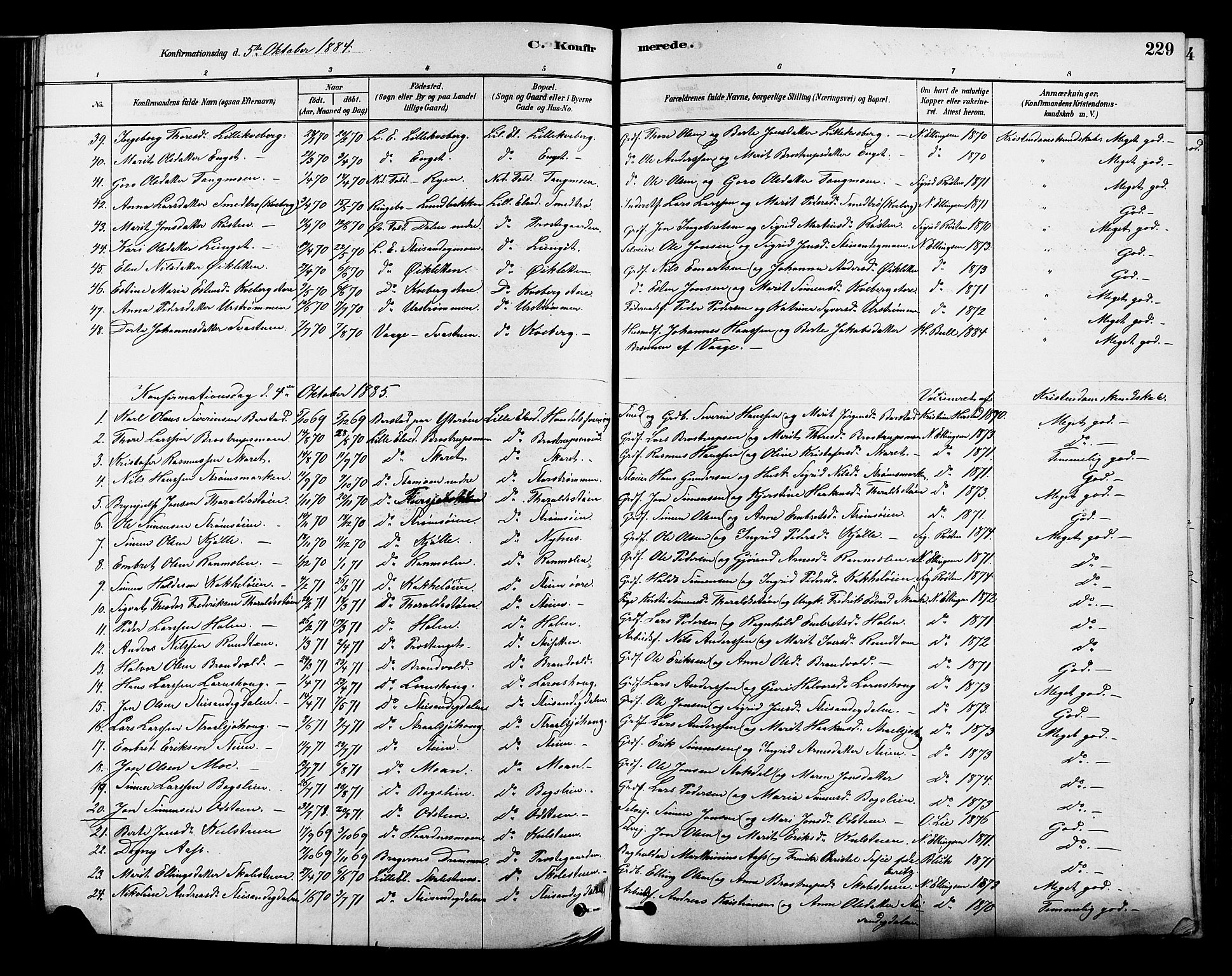 Alvdal prestekontor, AV/SAH-PREST-060/H/Ha/Hab/L0003: Parish register (copy) no. 3, 1878-1907, p. 229