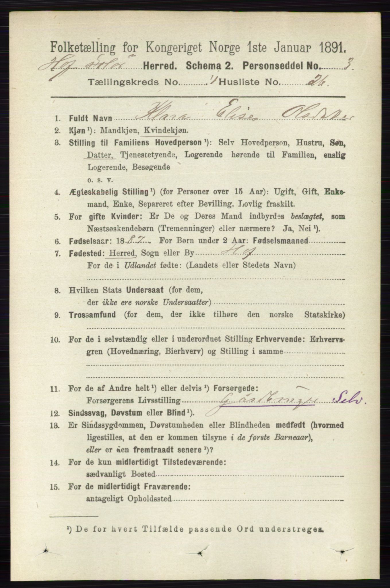 RA, 1891 census for 0424 Hof, 1891, p. 1607