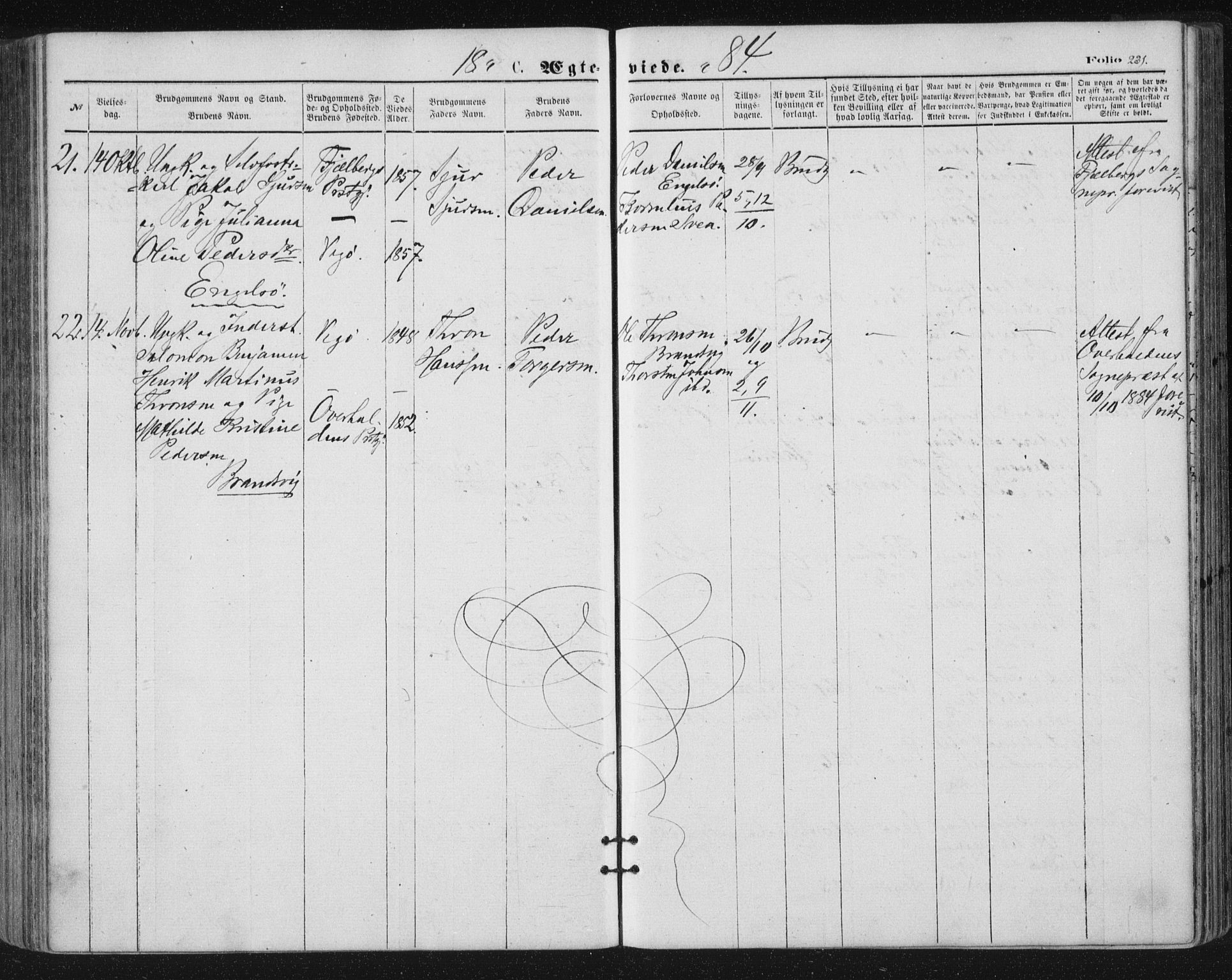 Ministerialprotokoller, klokkerbøker og fødselsregistre - Nordland, SAT/A-1459/816/L0241: Parish register (official) no. 816A07, 1870-1885, p. 231