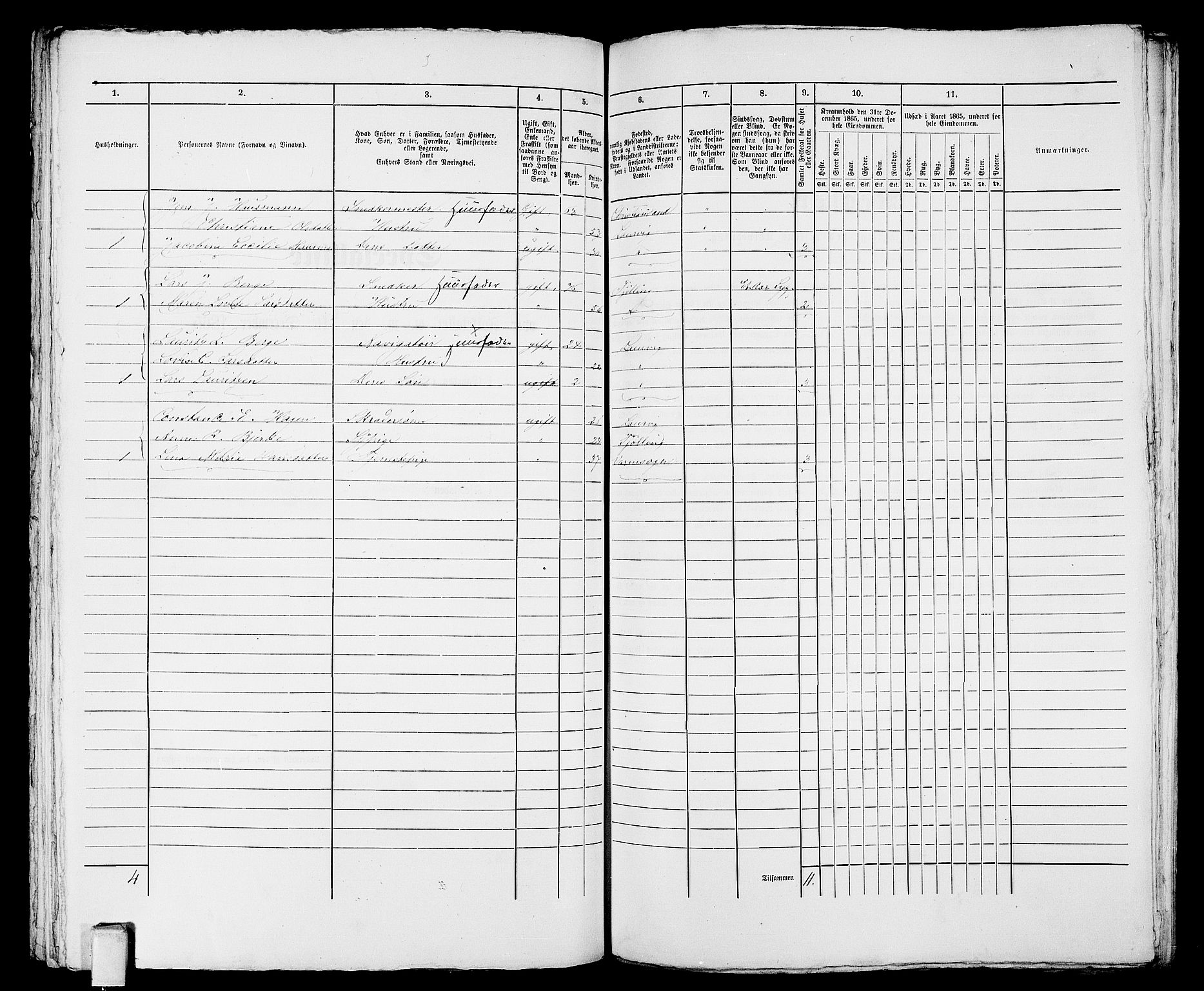 RA, 1865 census for Larvik, 1865, p. 941