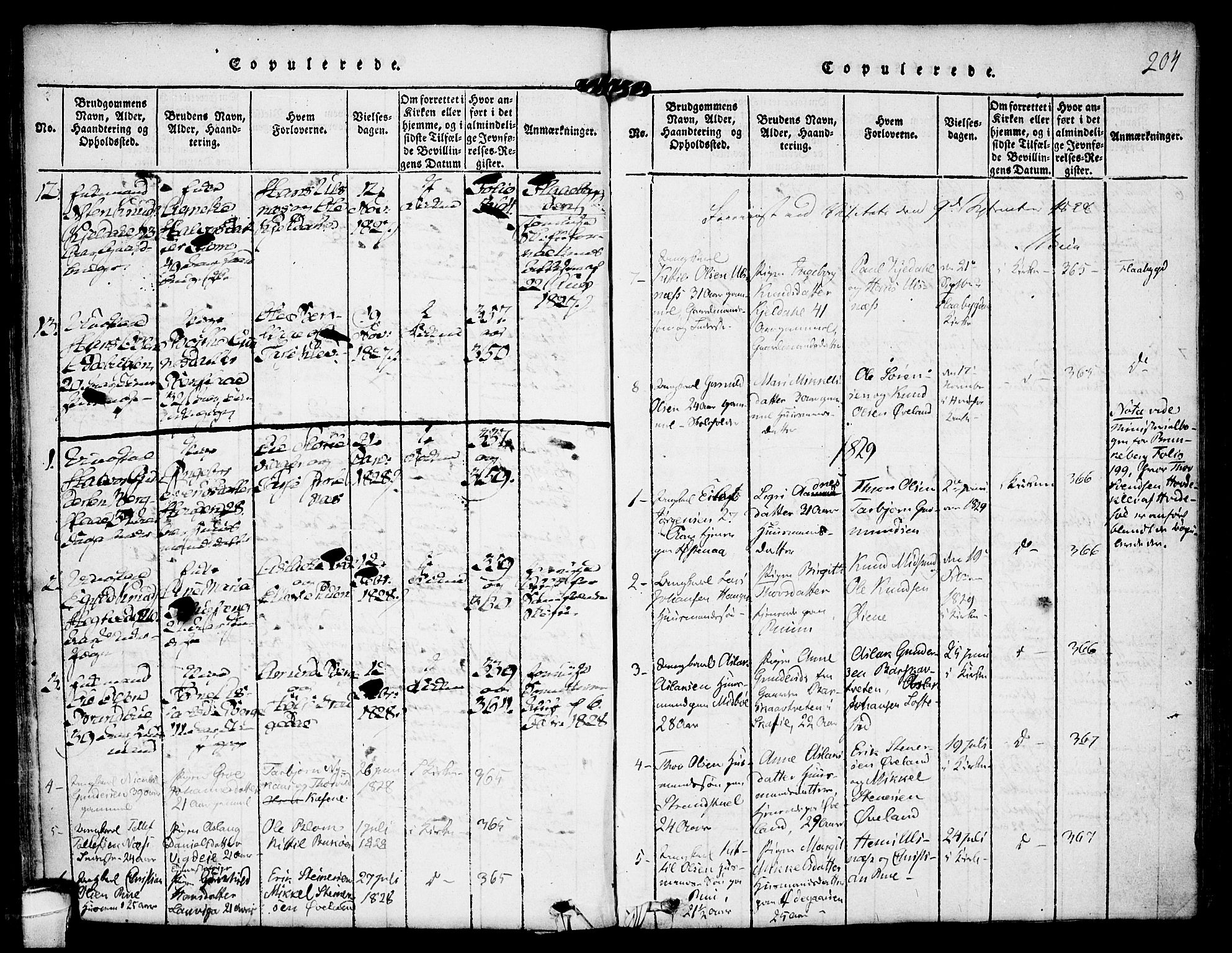 Kviteseid kirkebøker, SAKO/A-276/F/Fa/L0005: Parish register (official) no. I 5, 1815-1836, p. 204